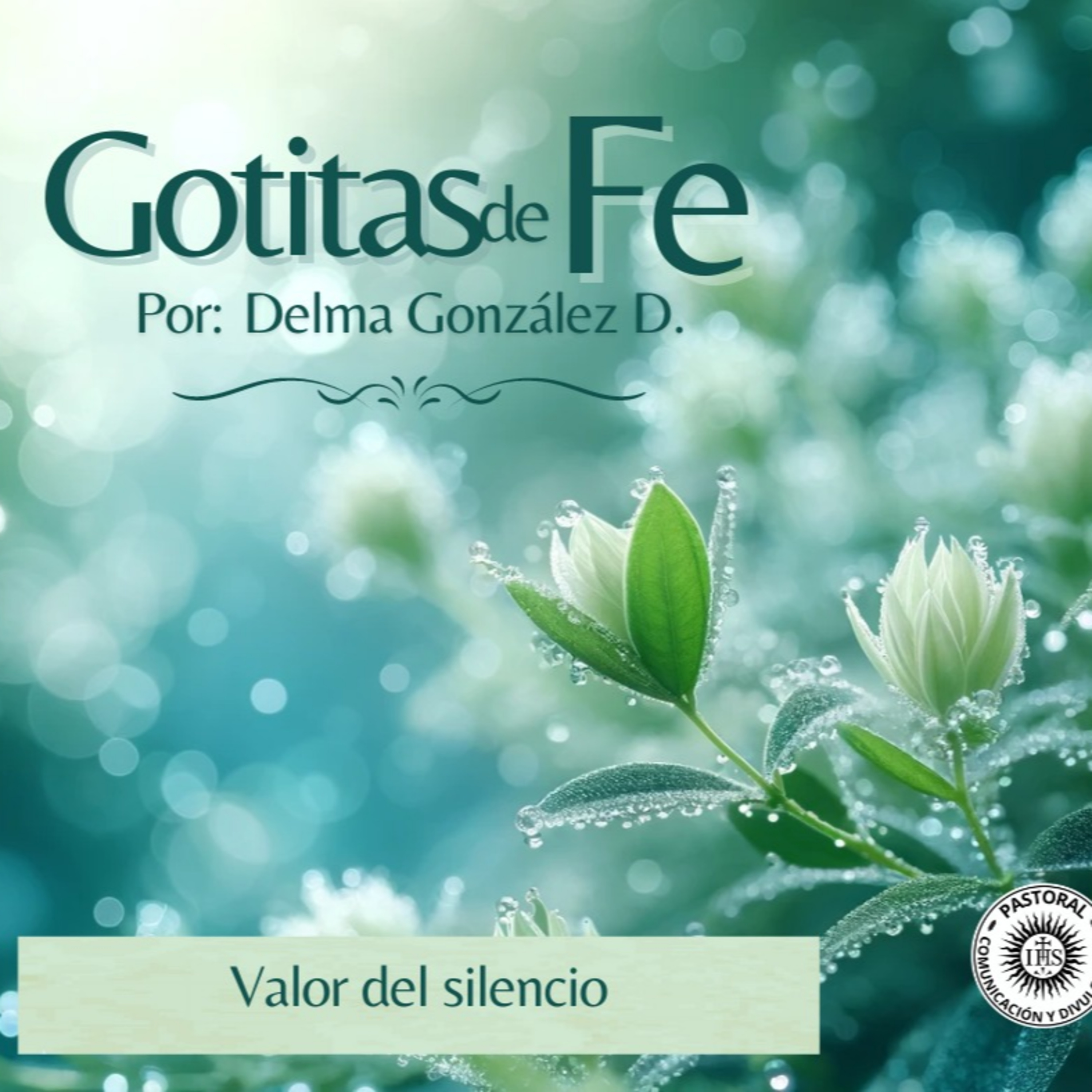 Evangelio y Reflexiones diarias