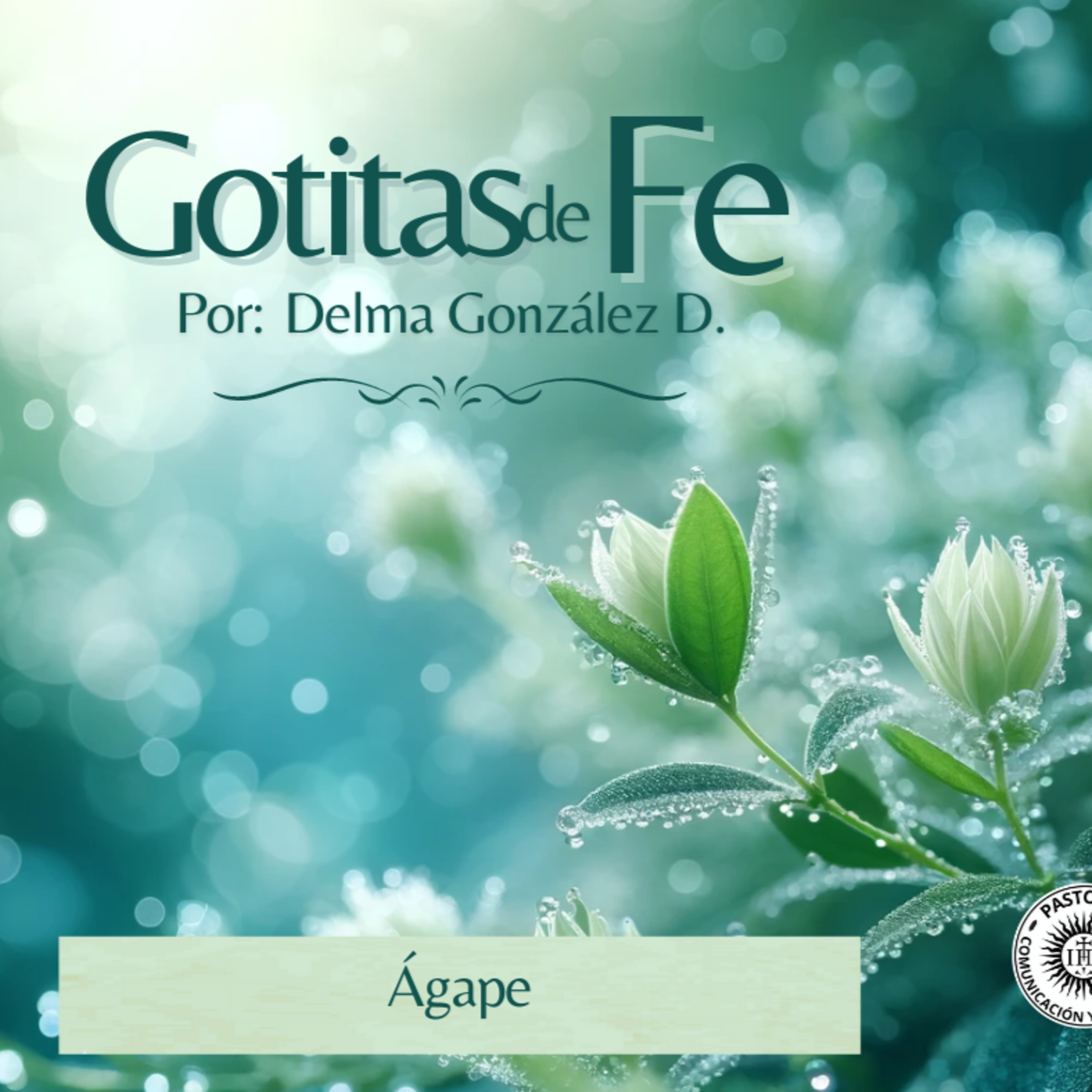 Portada de Evangelio y Reflexiones diarias