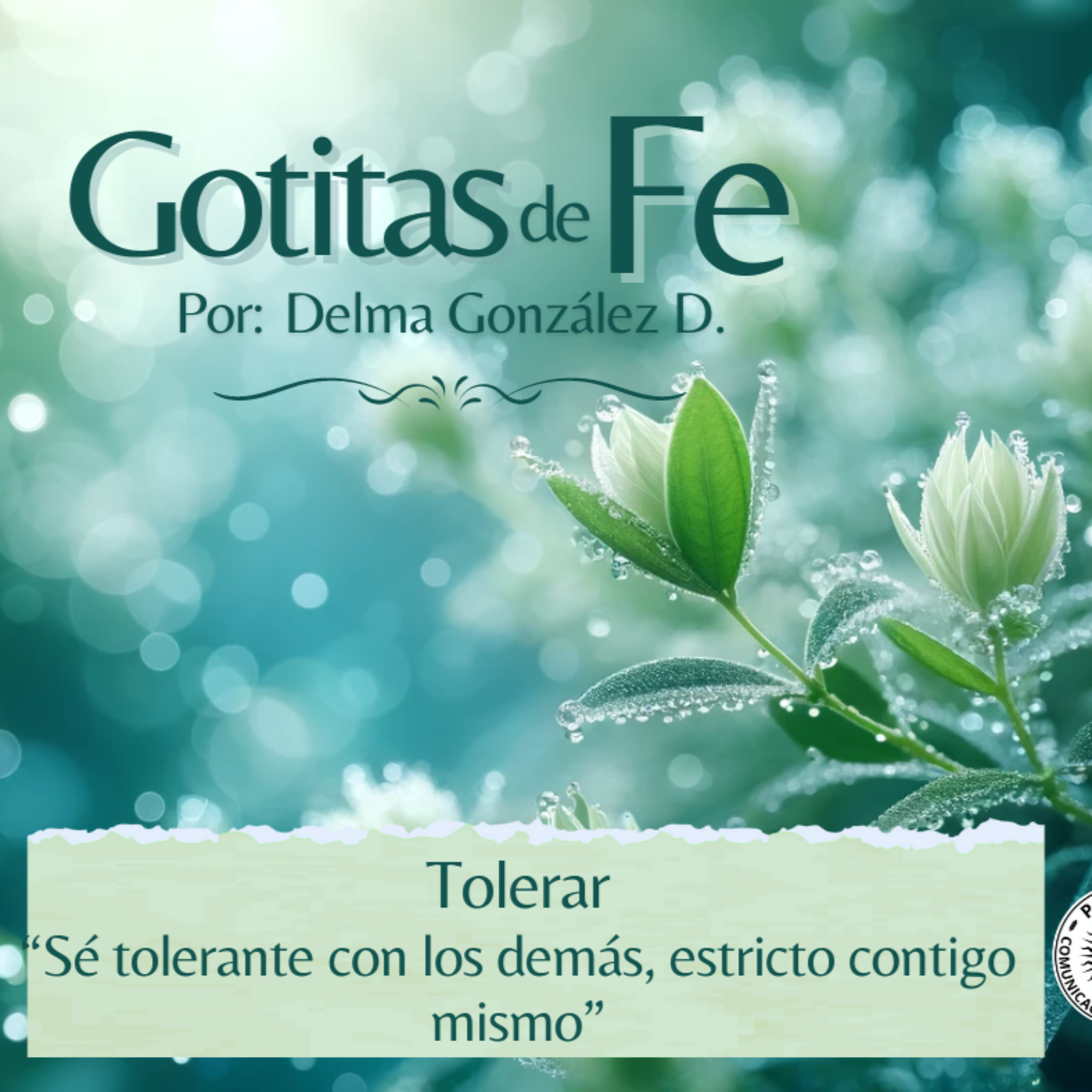 Evangelio y Reflexiones diarias