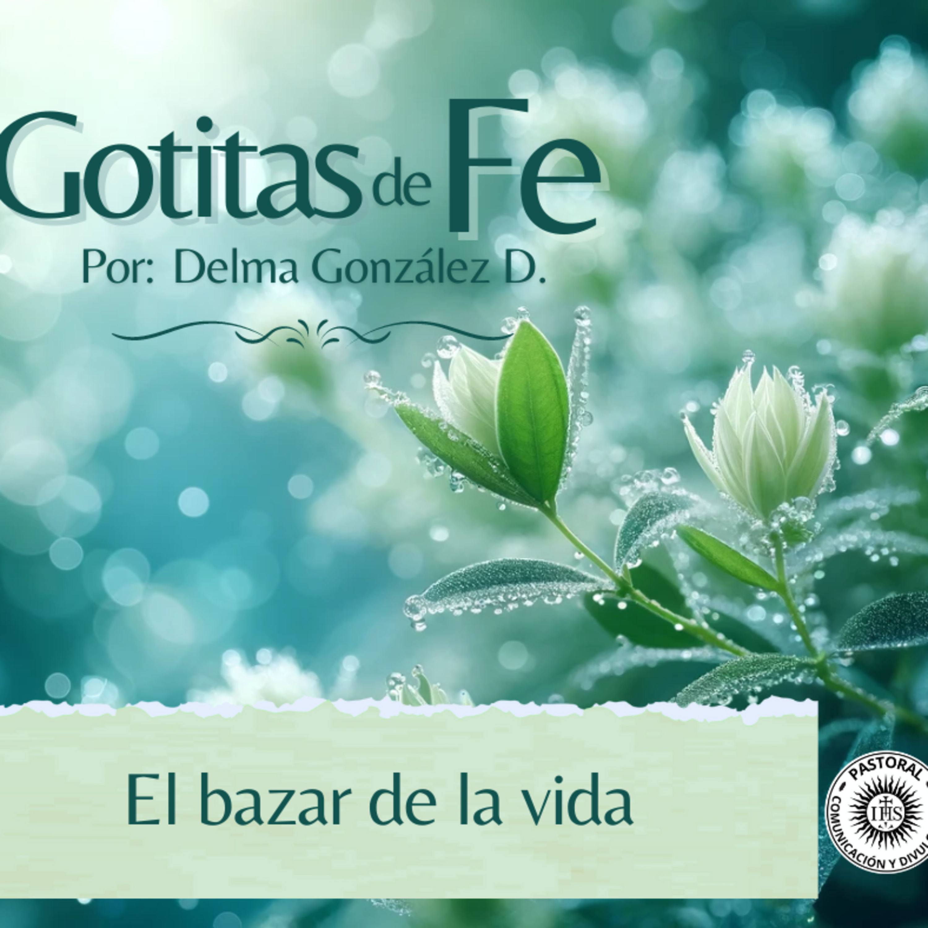 Portada de Evangelio y Reflexiones diarias