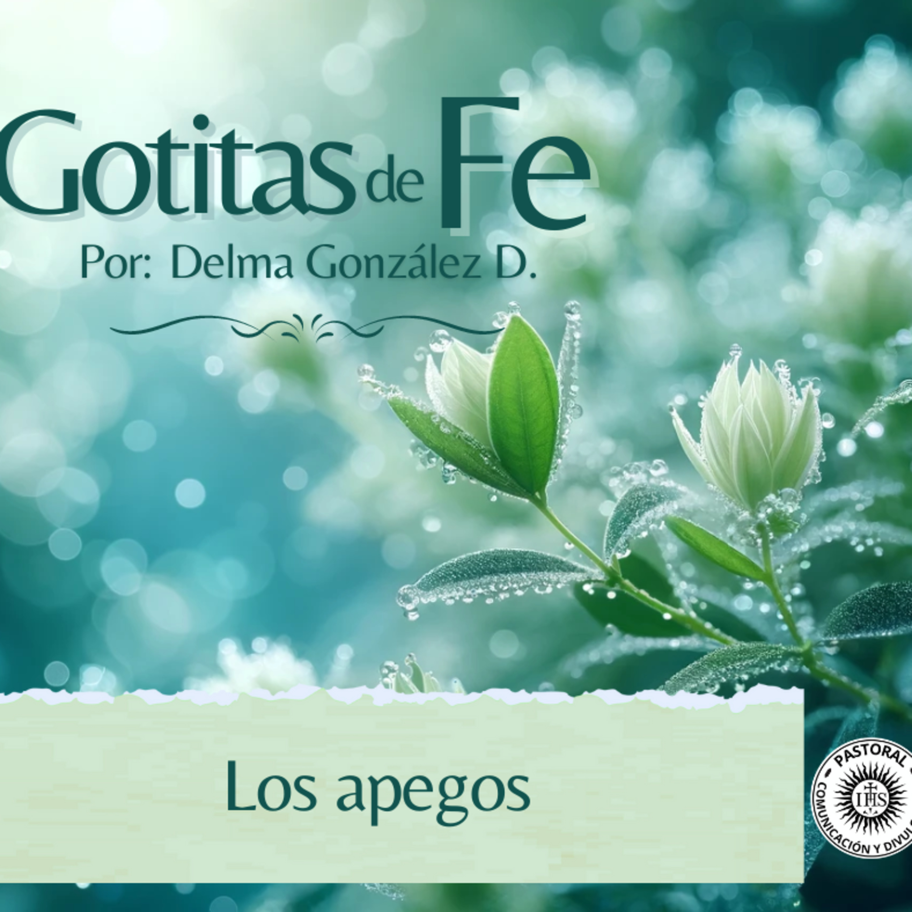 Evangelio y Reflexiones diarias