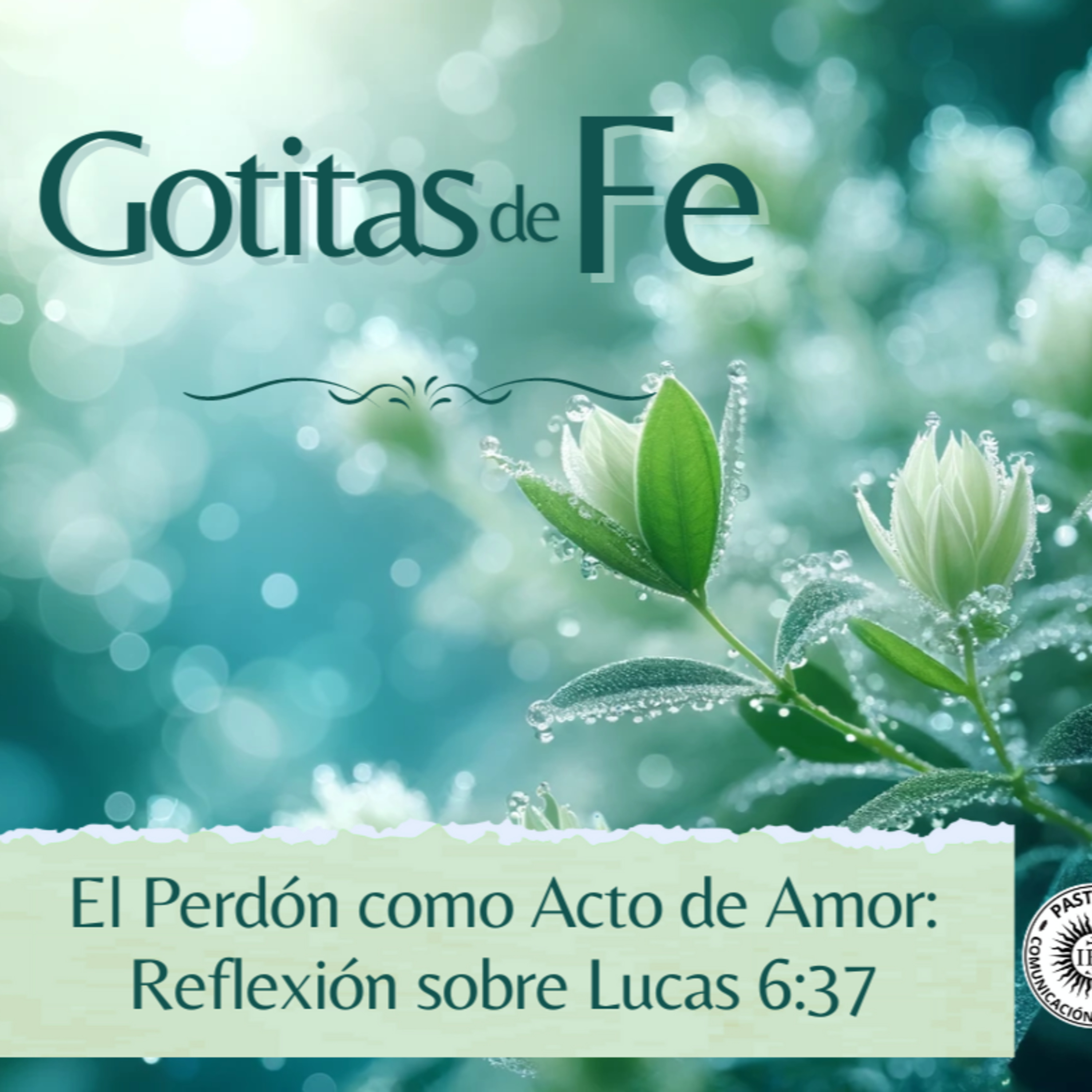 Evangelio y Reflexiones diarias