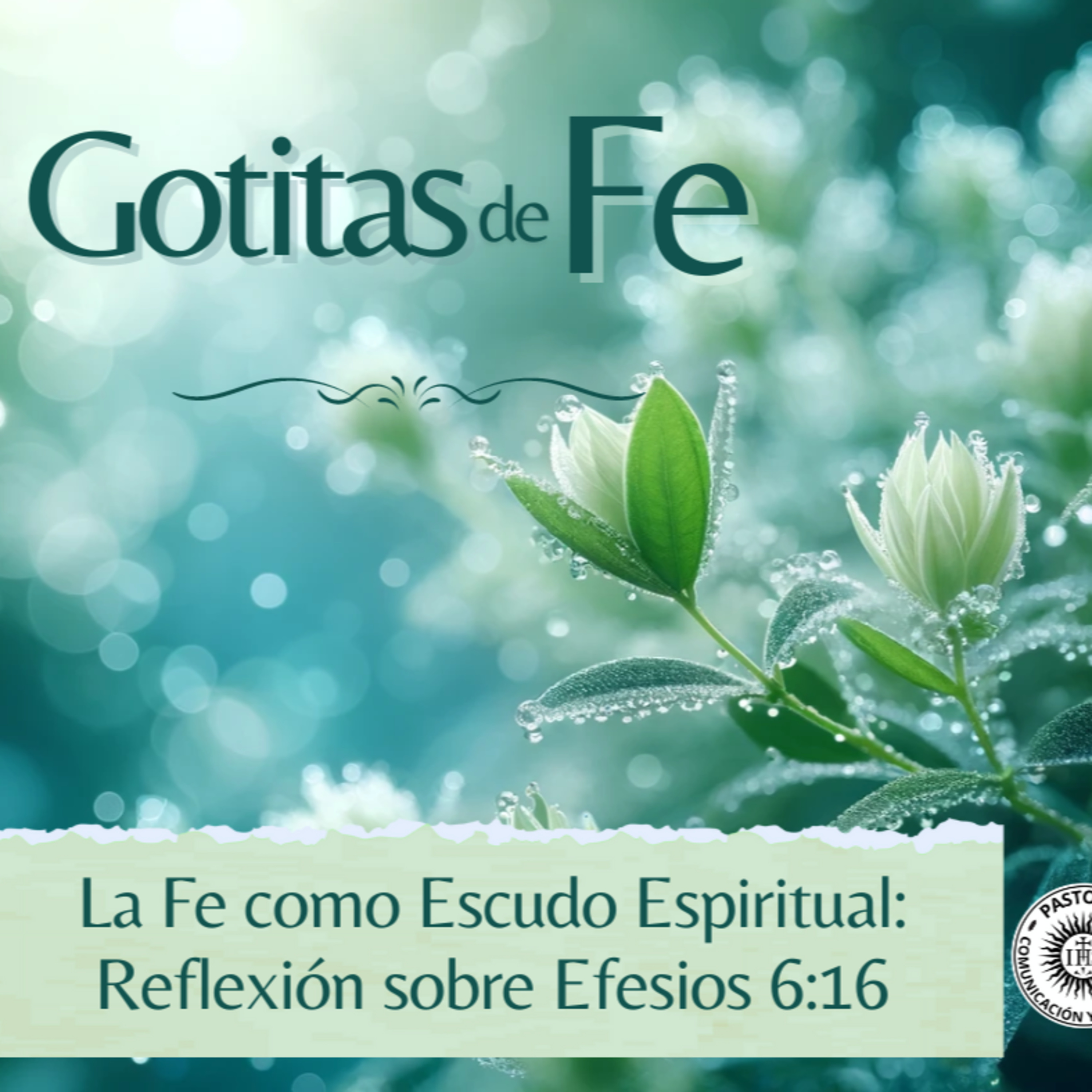 Portada de Evangelio y Reflexiones diarias