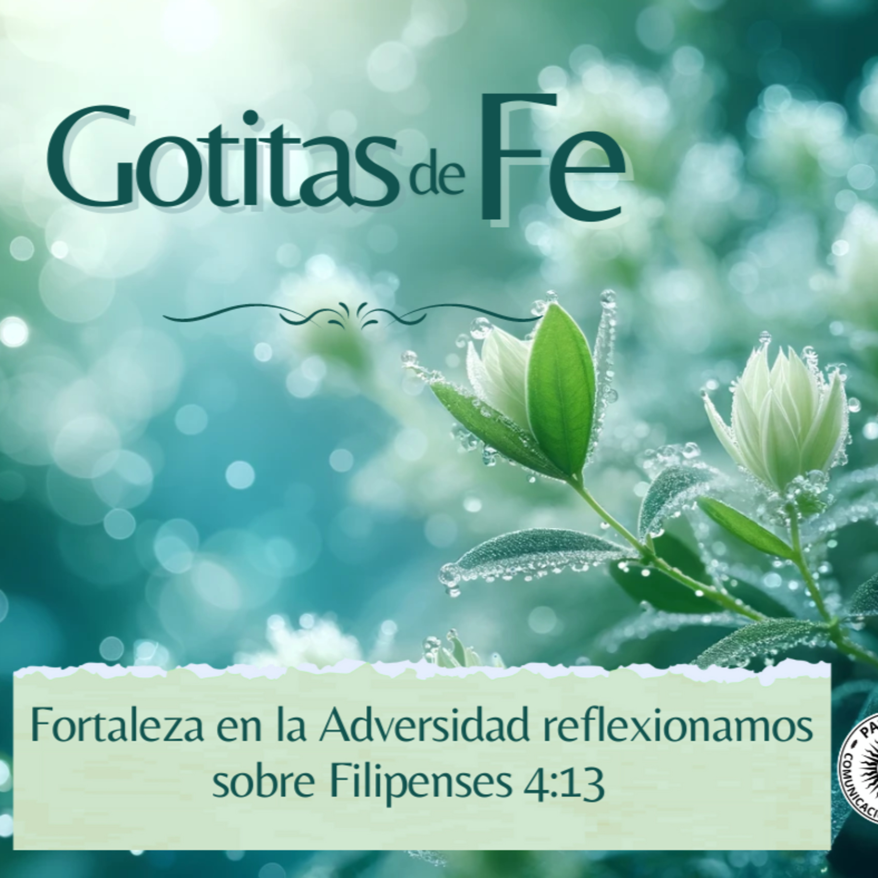 Portada de Evangelio y Reflexiones diarias