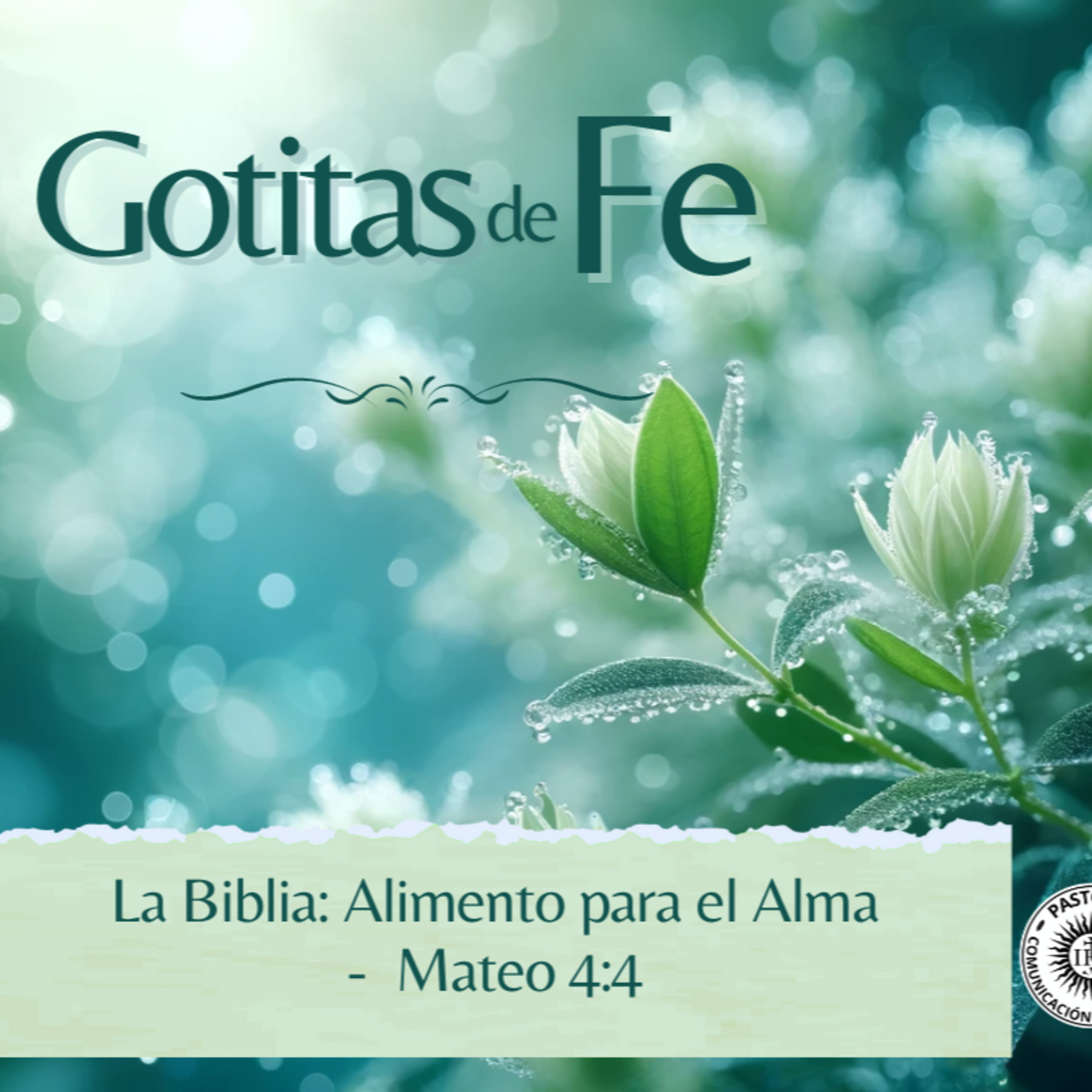 Evangelio y Reflexiones diarias