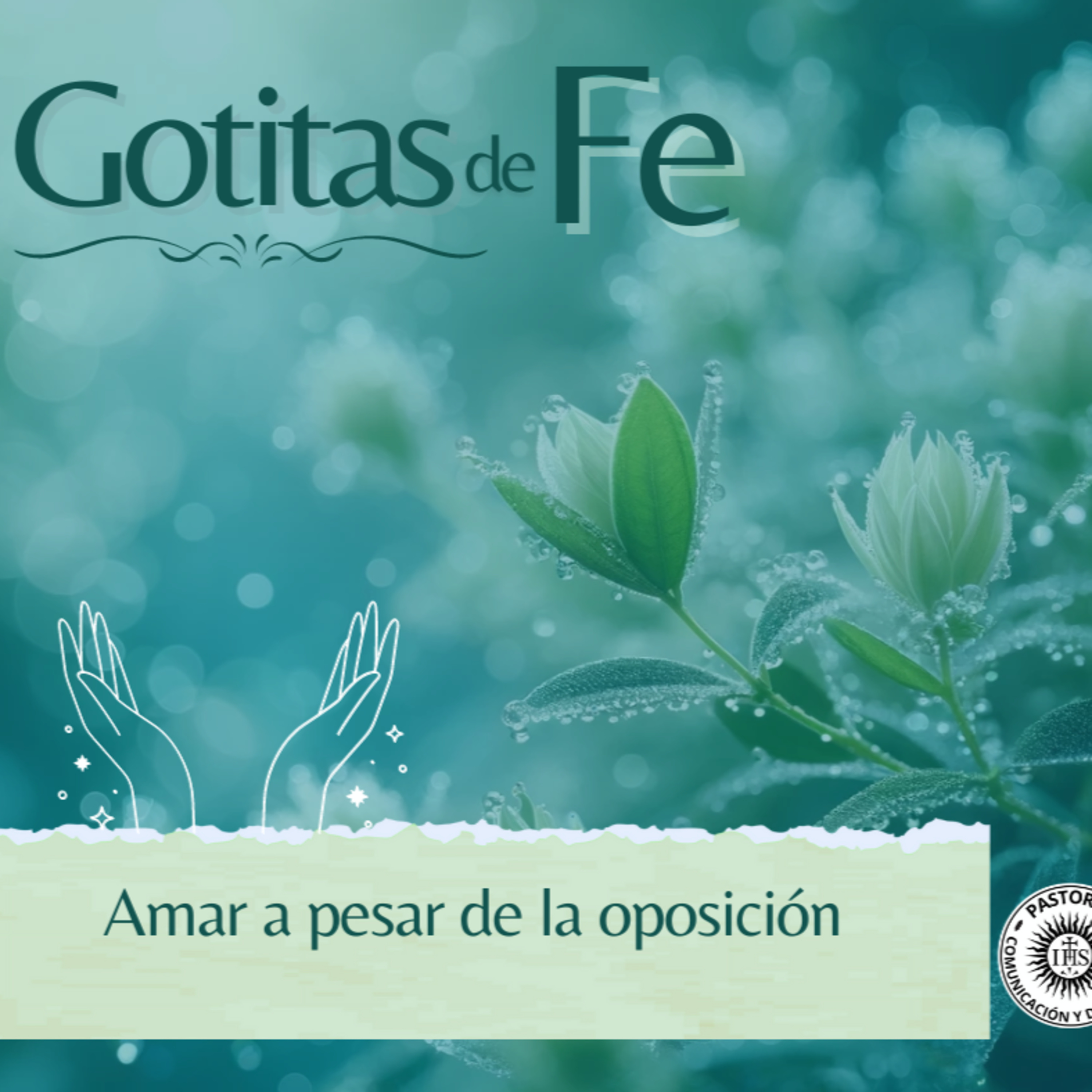 Portada de Evangelio y Reflexiones diarias