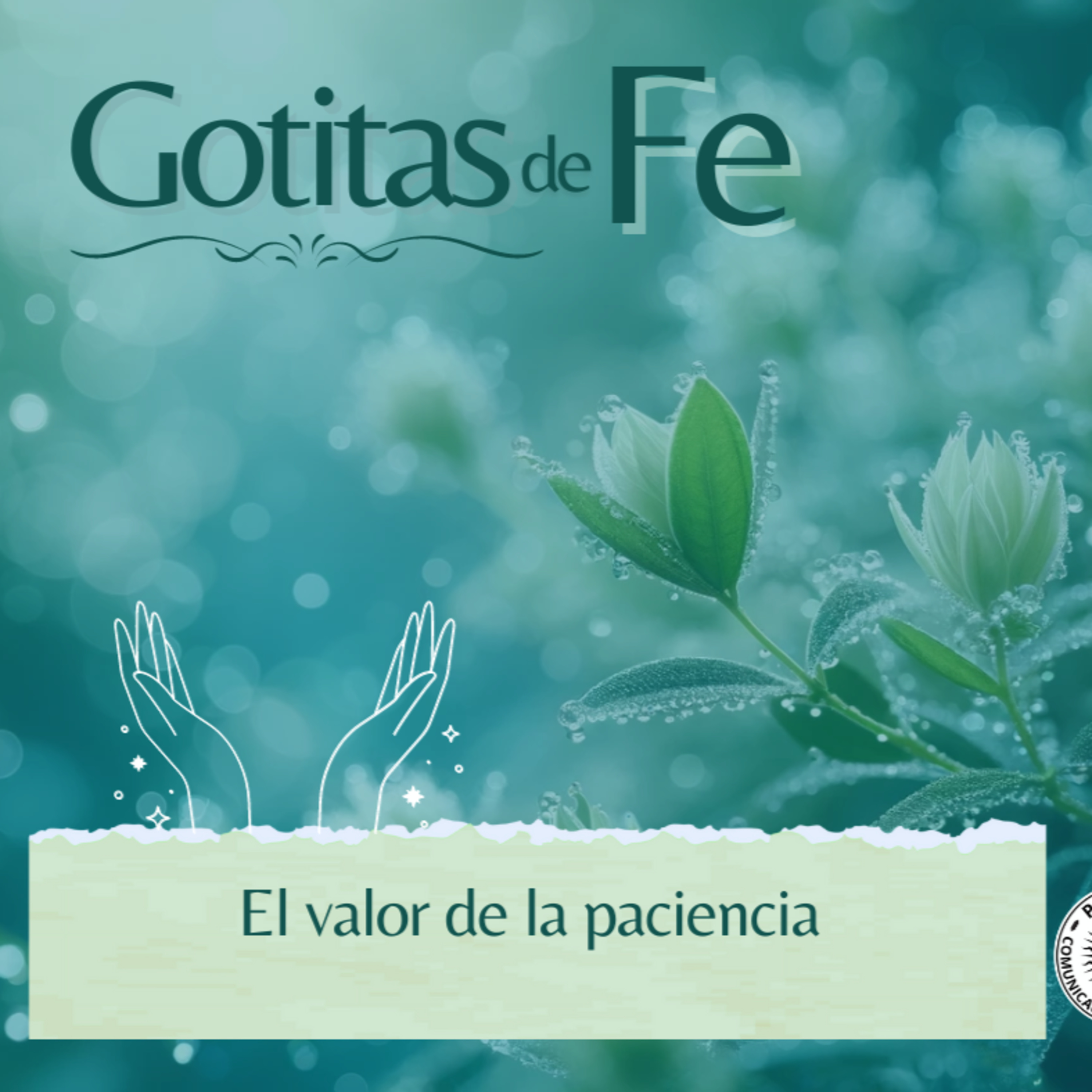 Portada de Evangelio y Reflexiones diarias
