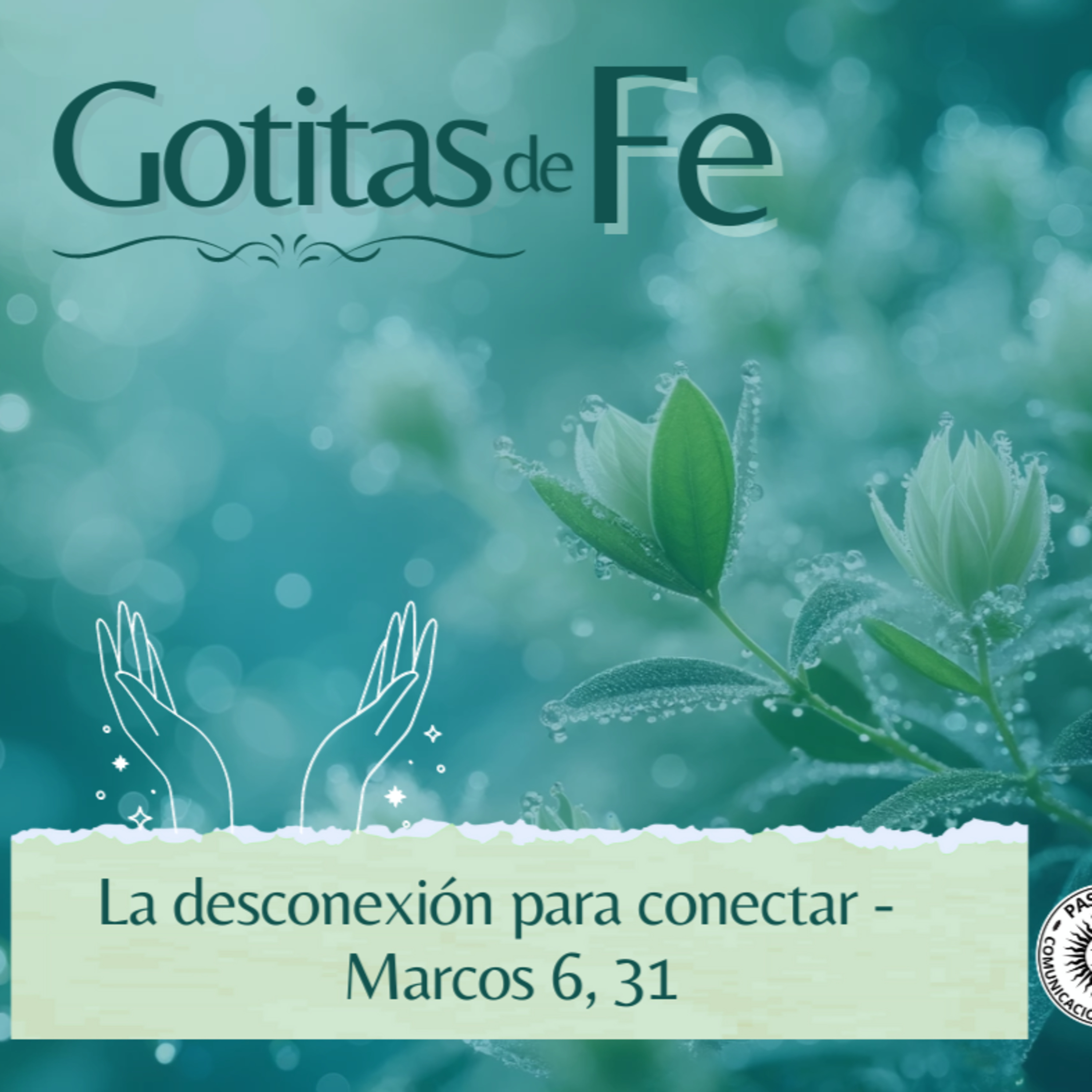 Evangelio y Reflexiones diarias
