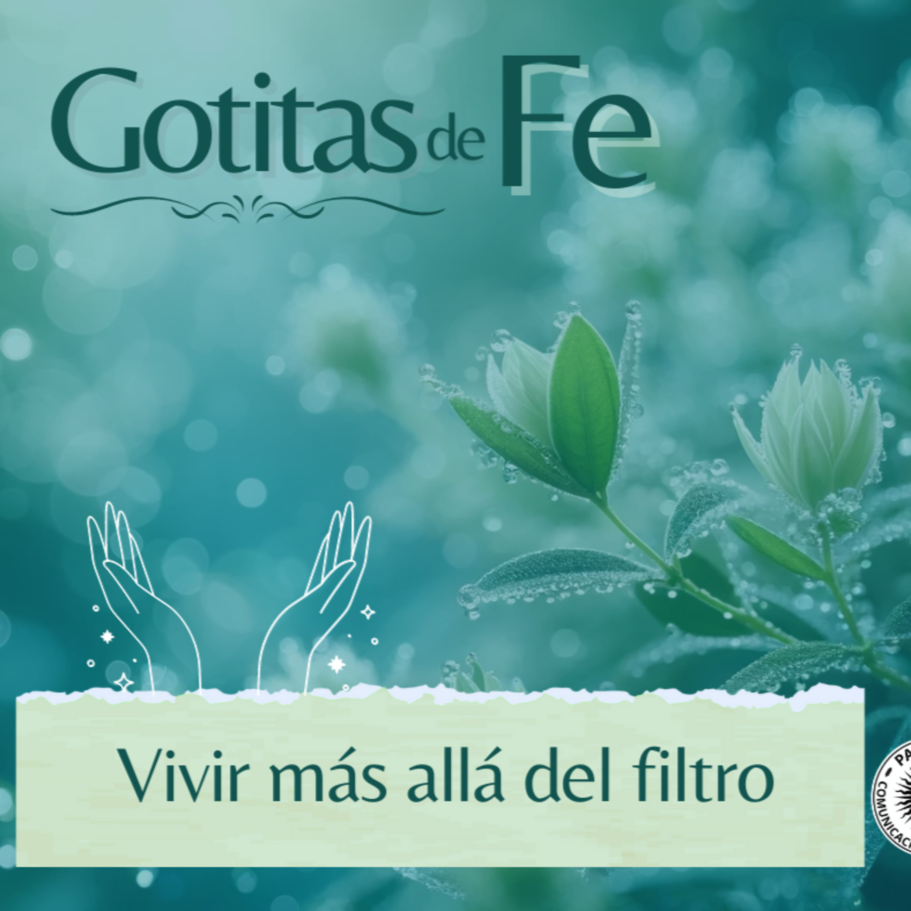 Portada de Evangelio y Reflexiones diarias