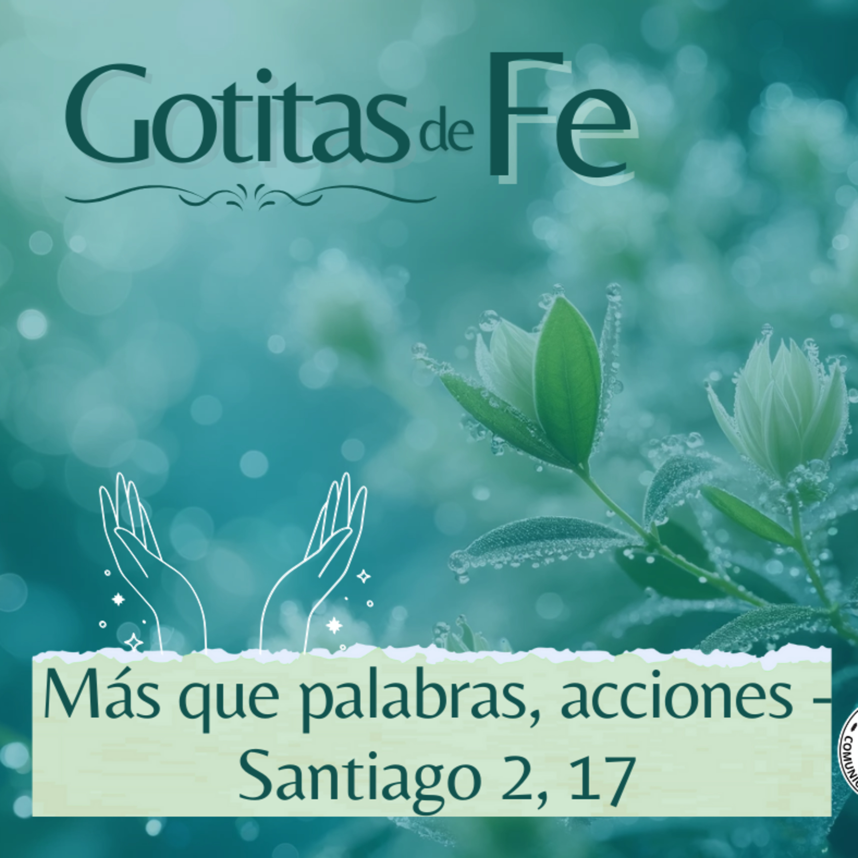 Portada de Evangelio y Reflexiones diarias