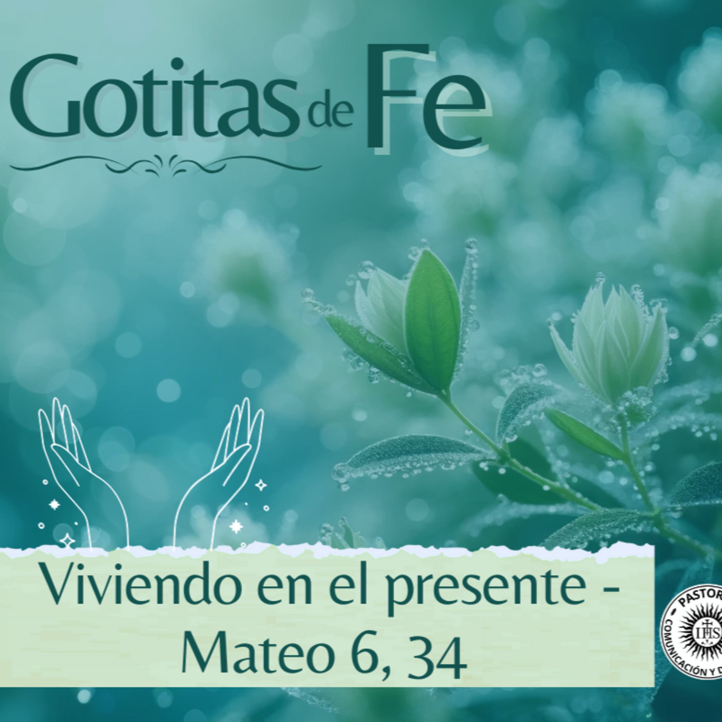 Portada de Evangelio y Reflexiones diarias