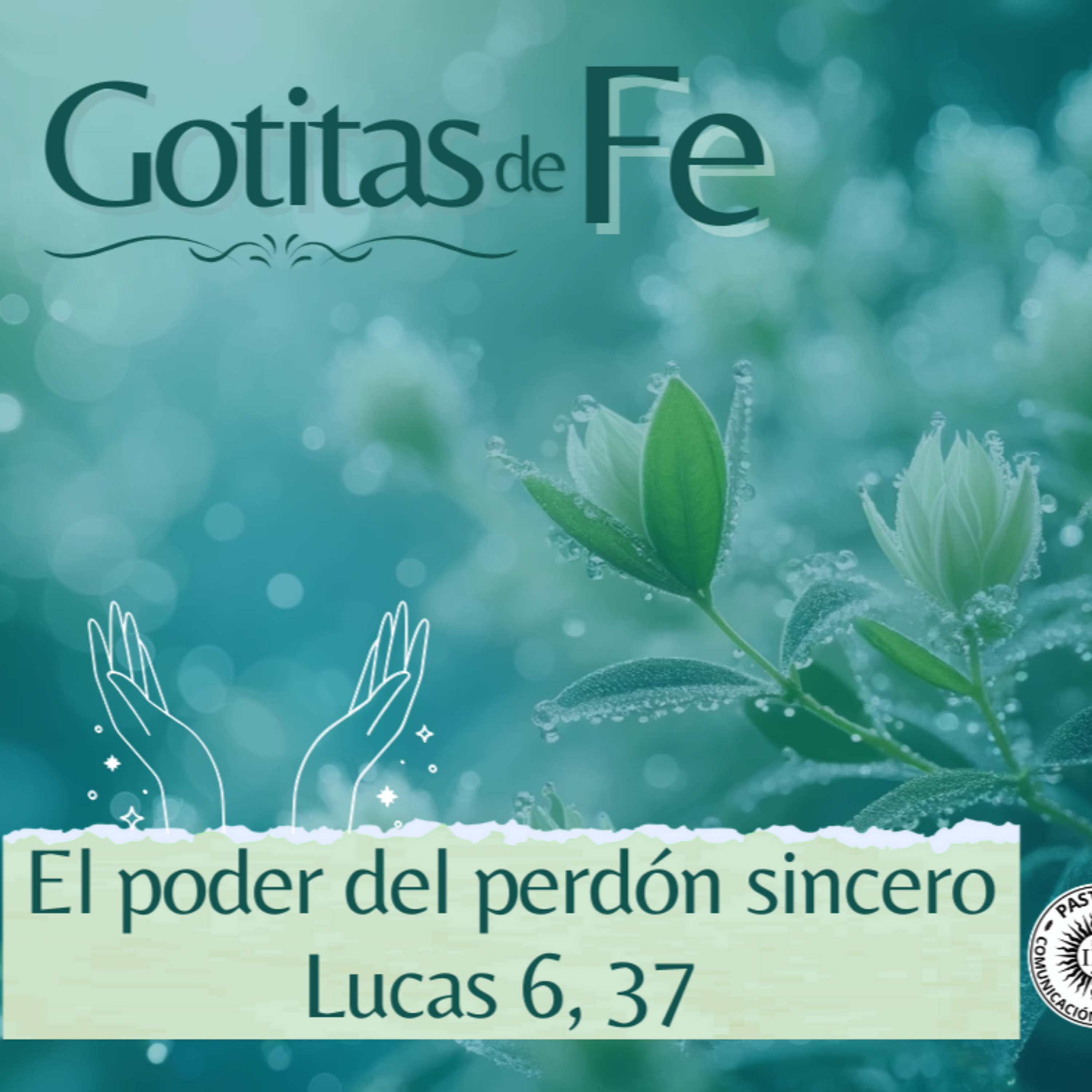 Portada de Evangelio y Reflexiones diarias