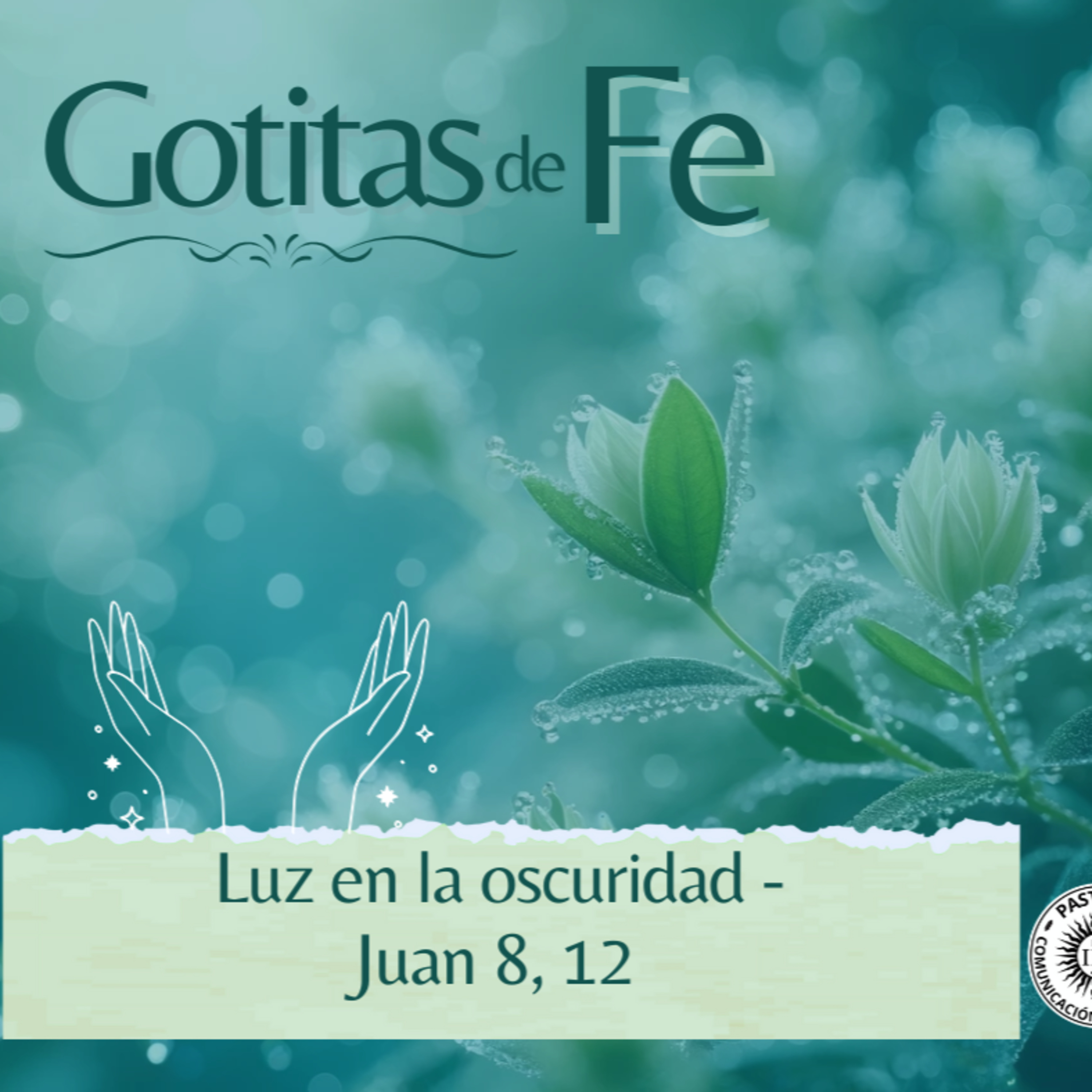 Portada de Evangelio y Reflexiones diarias