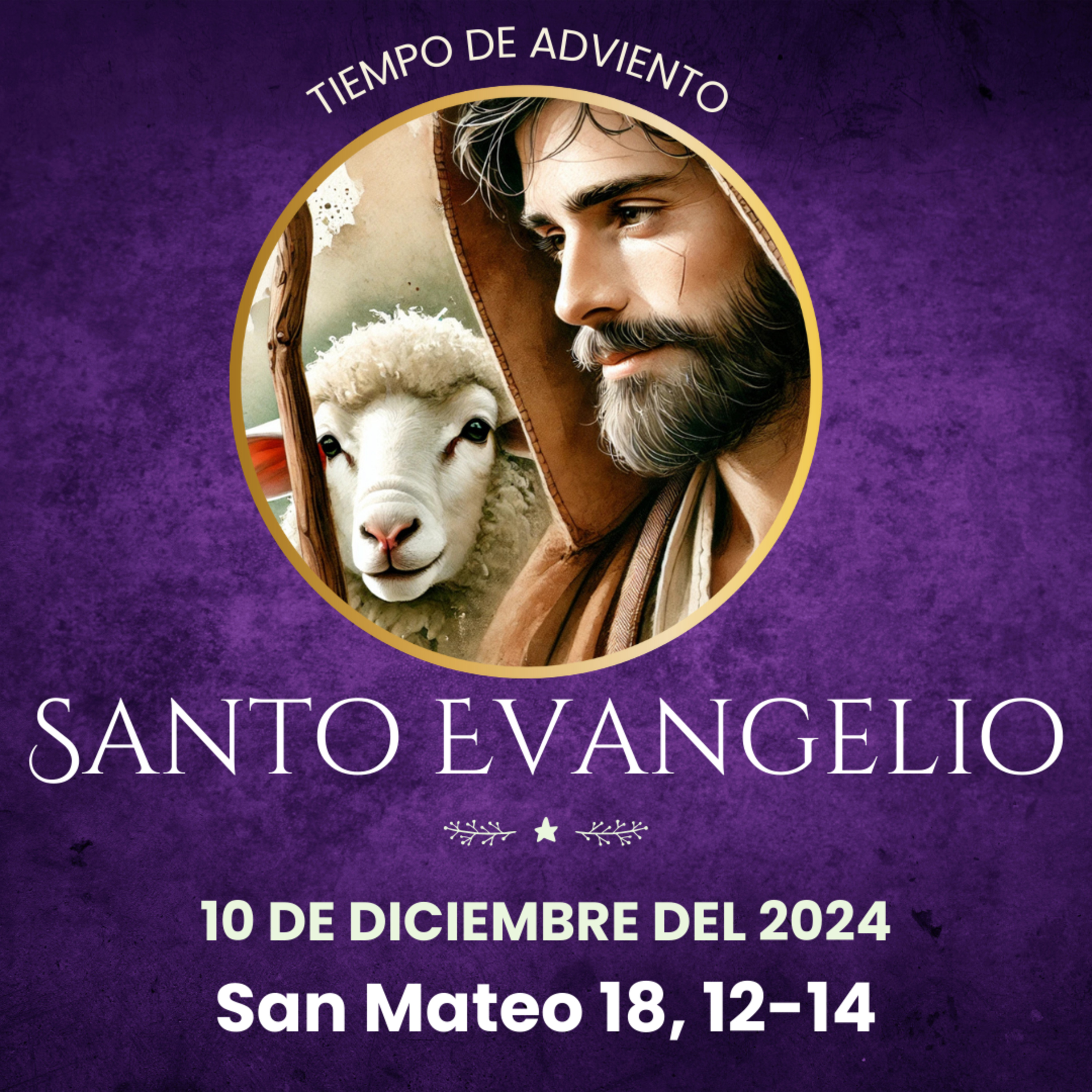 Evangelio del 10 de diciembre 2024 según Mateo 18, 12-14 episode artwork