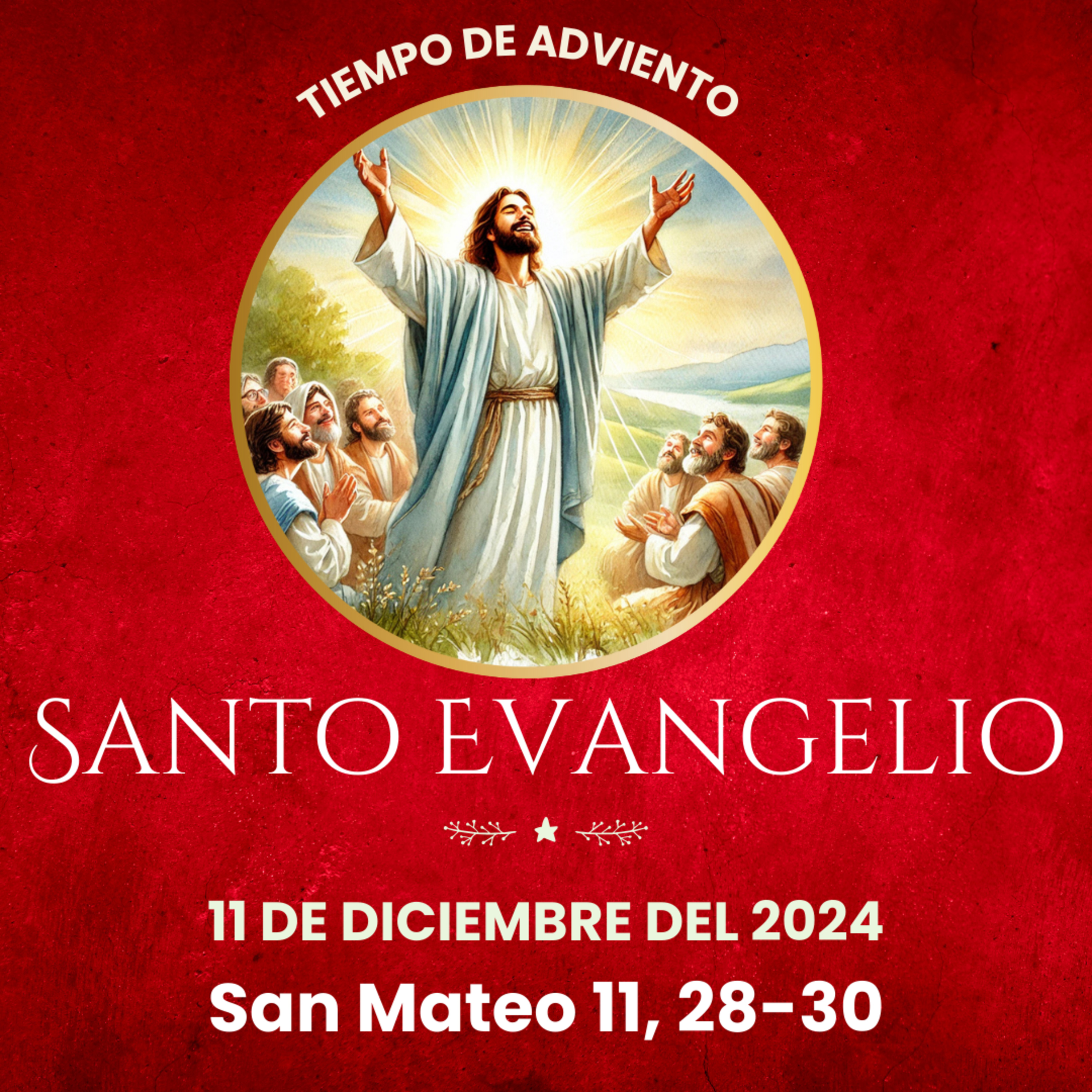 Evangelio del 11 de diciembre del 2024 según San Mateo 11, 28-30 episode artwork