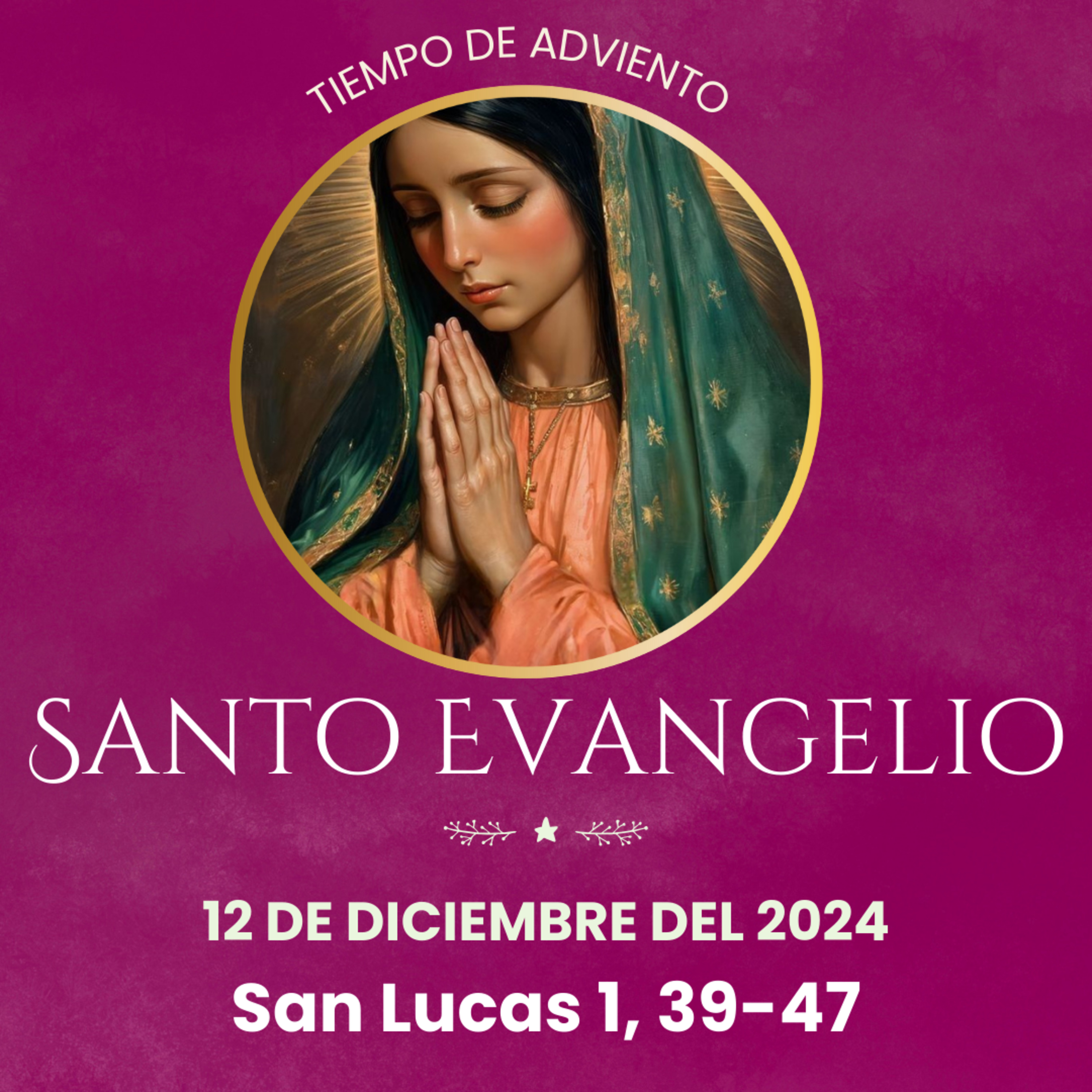 Evangelio del 12 de diciembre del 2024 según san Lucas 1, 39-47 episode artwork