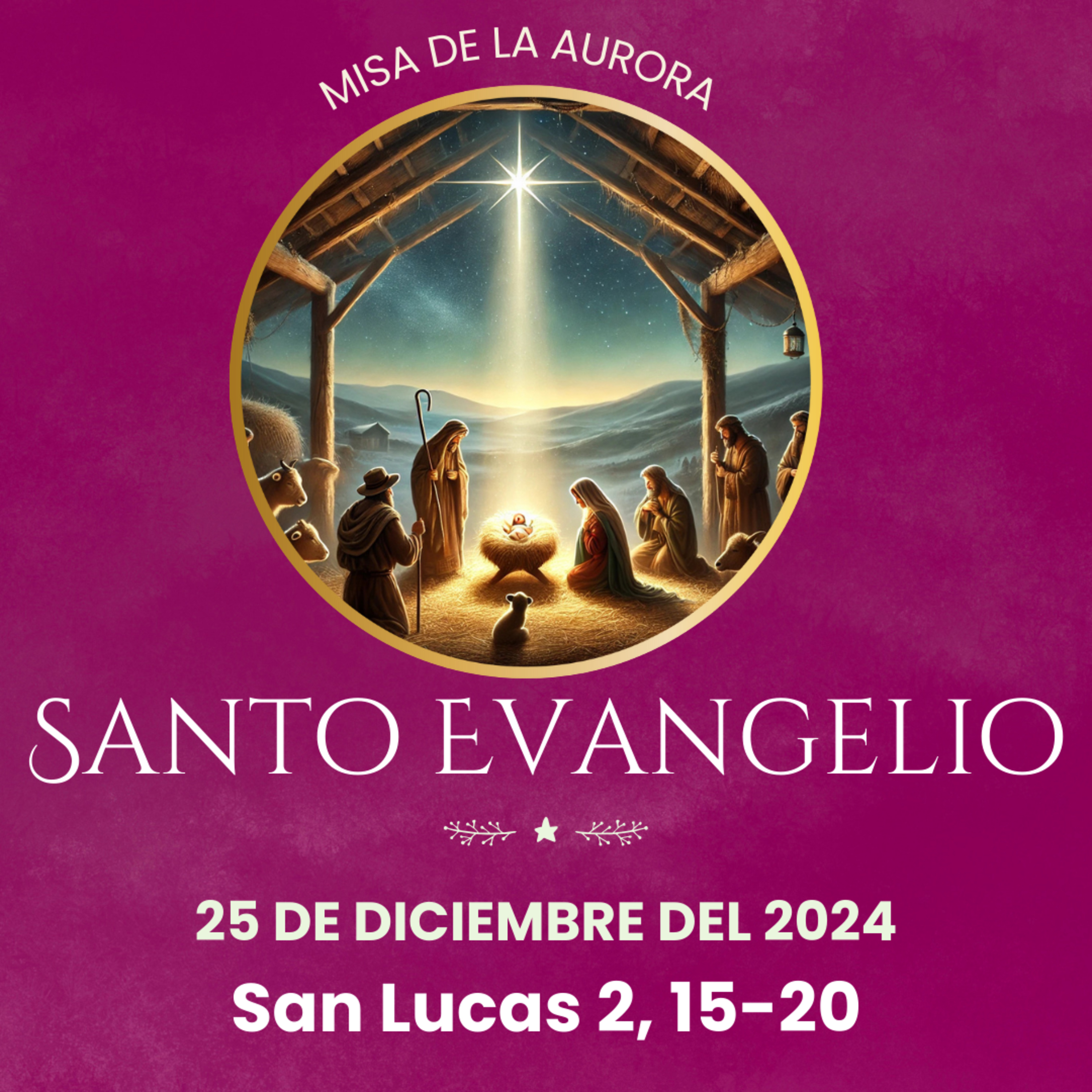 Evangelio del 25 de diciembre del 2024 según Lucas 2, 15-20 episode artwork