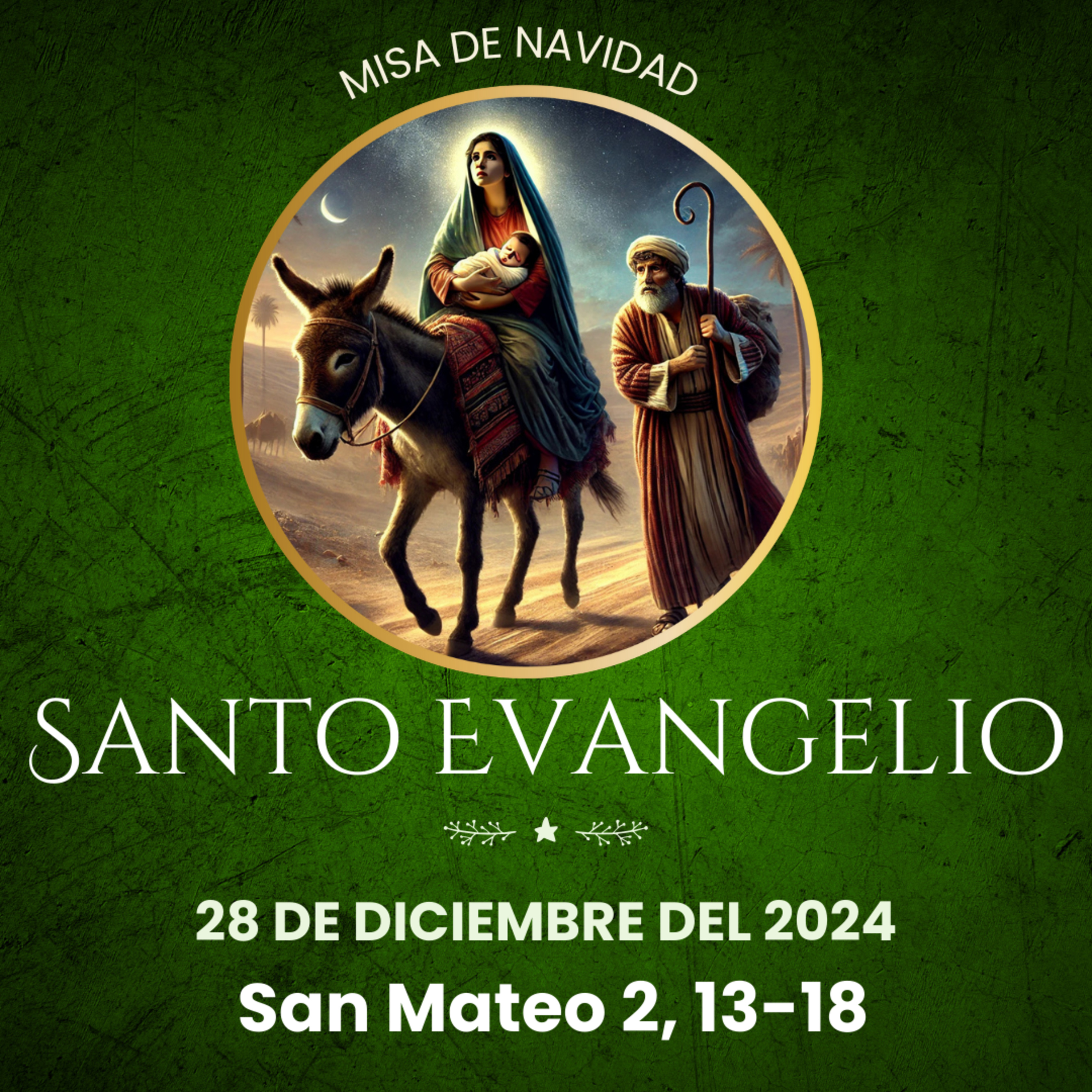 Evangelio del 28 de diciembre del 2024 según Mateo 2, 13-18 episode artwork