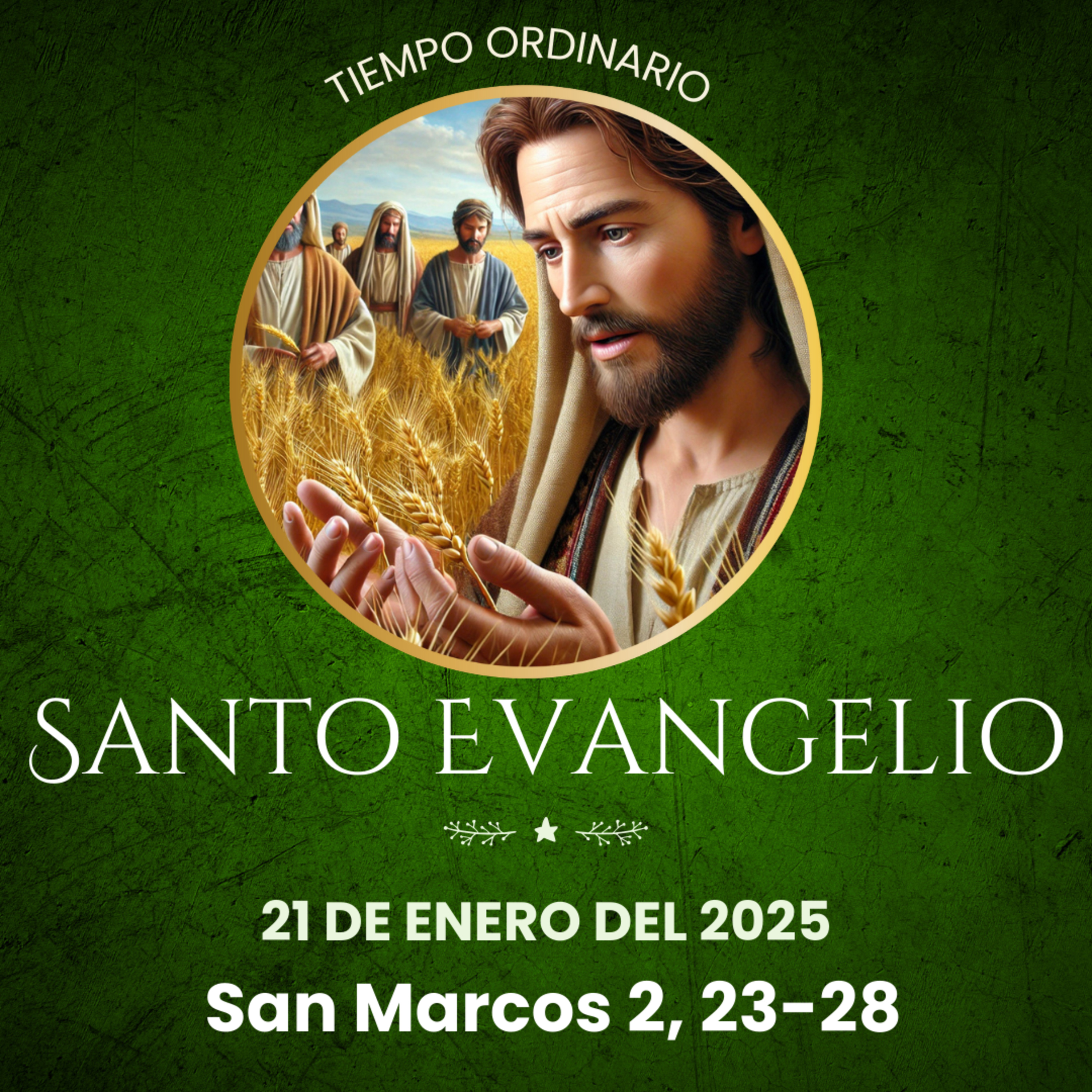 Evangelio del 21 de enero del 2025 según Marcos 2, 23-28 episode artwork