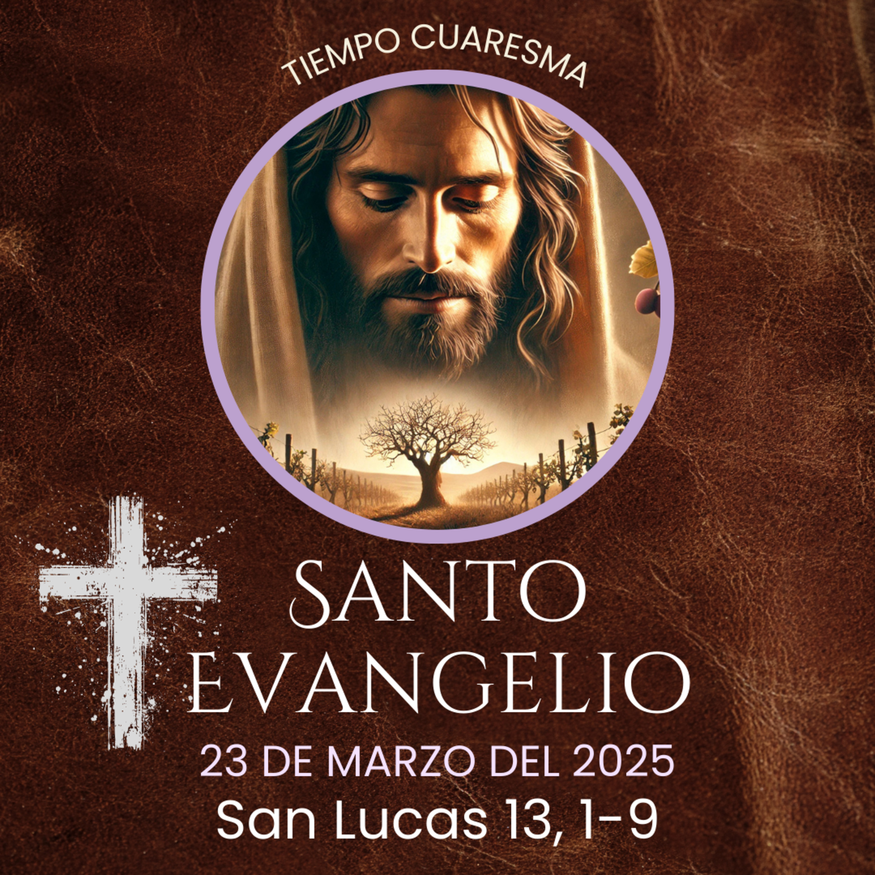 Evangelio del 23 de marzo del 2025 según San Lucas 13, 1-9 episode artwork