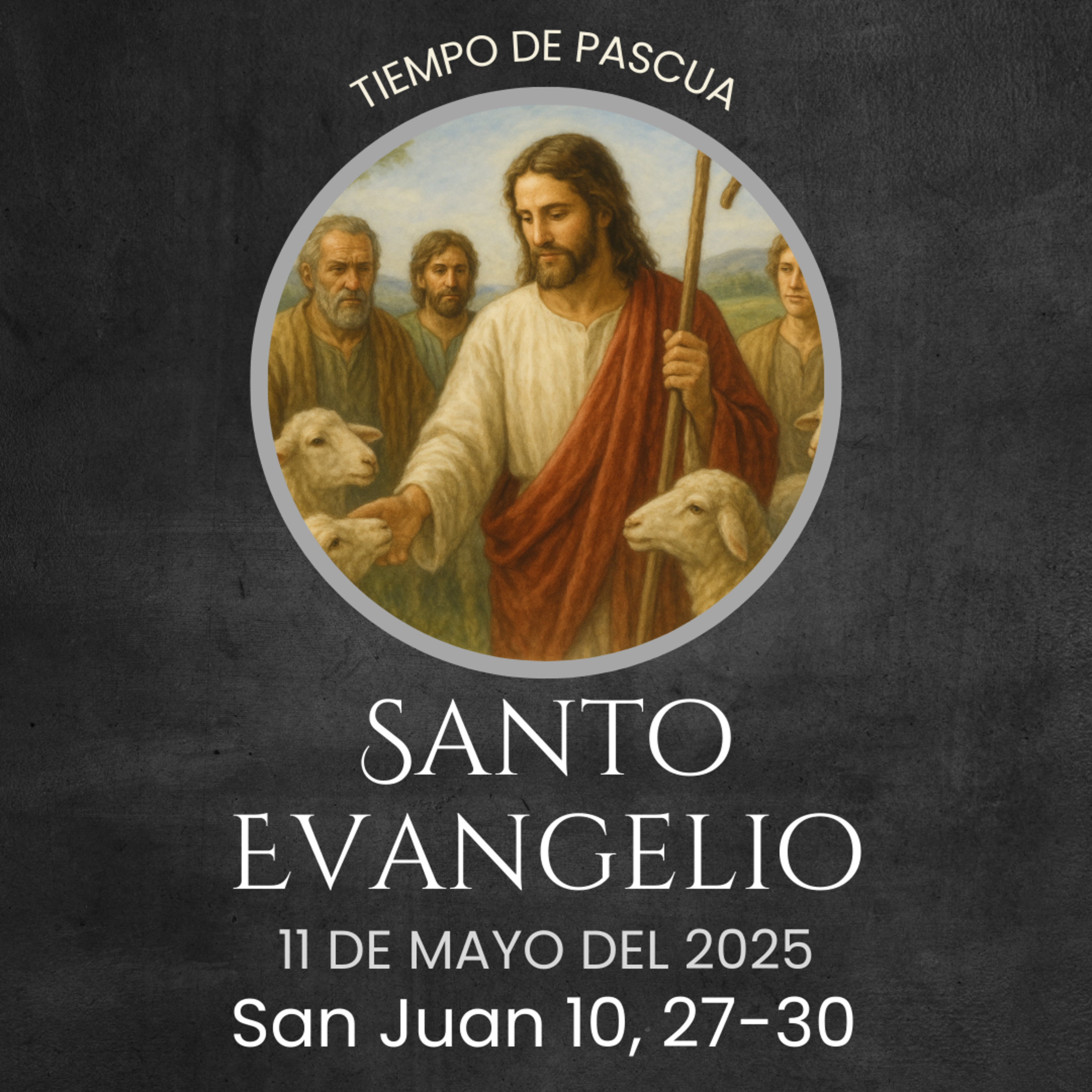 Evangelio del 11 de mayo del 2025 según san Juan 10, 27-30 episode artwork