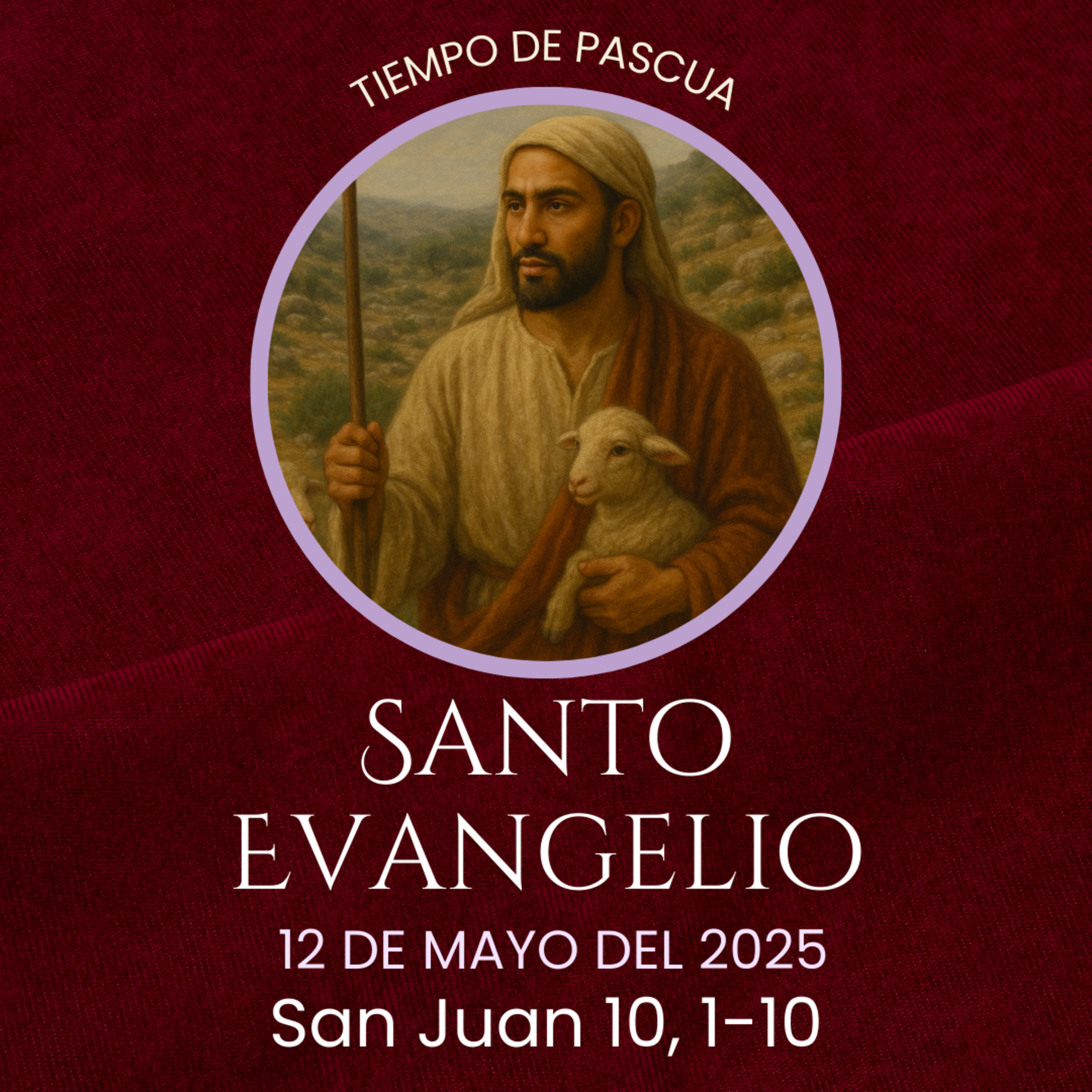 Evangelio y Reflexiones diarias