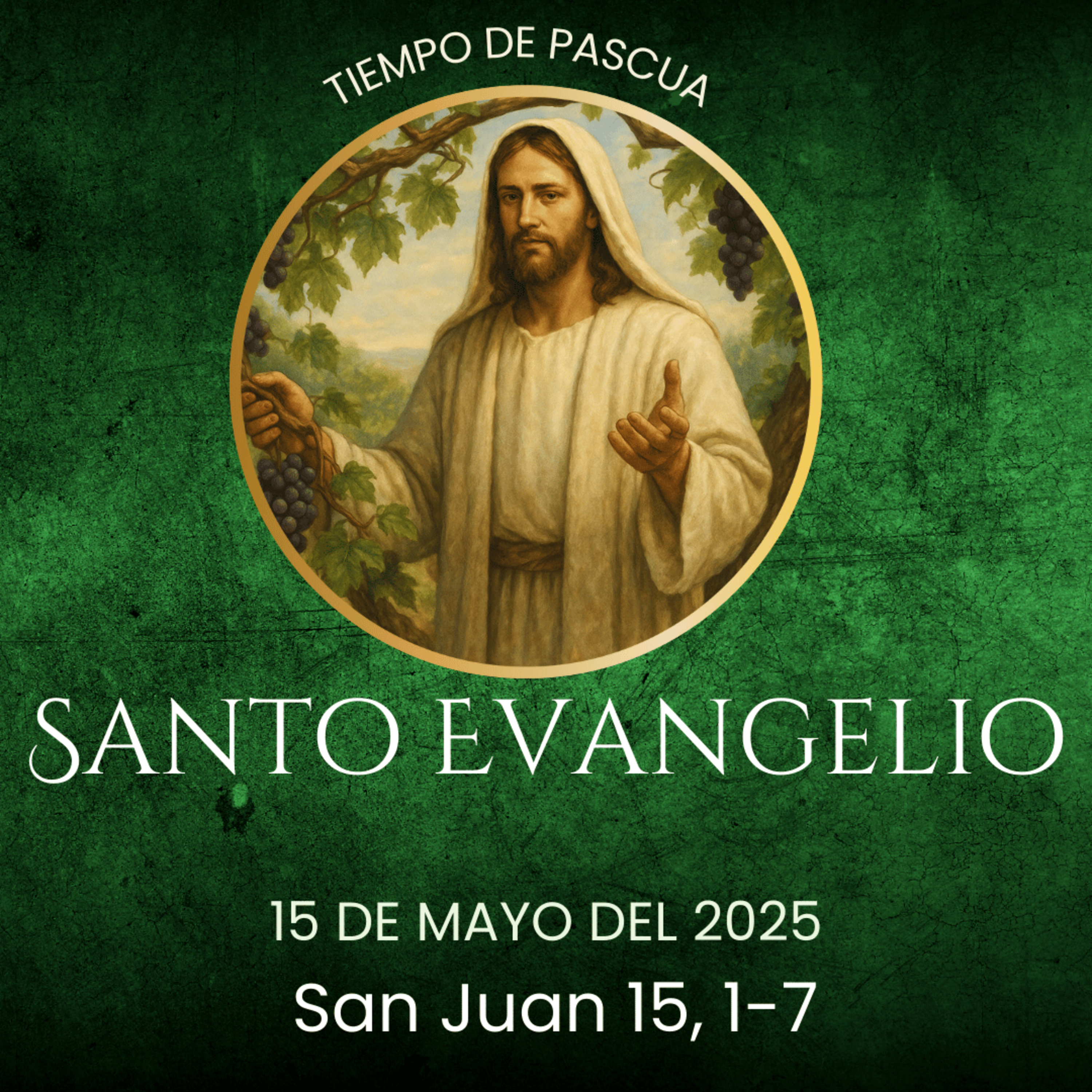 Evangelio del 15 de mayo del 2025 según san Juan 15, 1-7 episode artwork