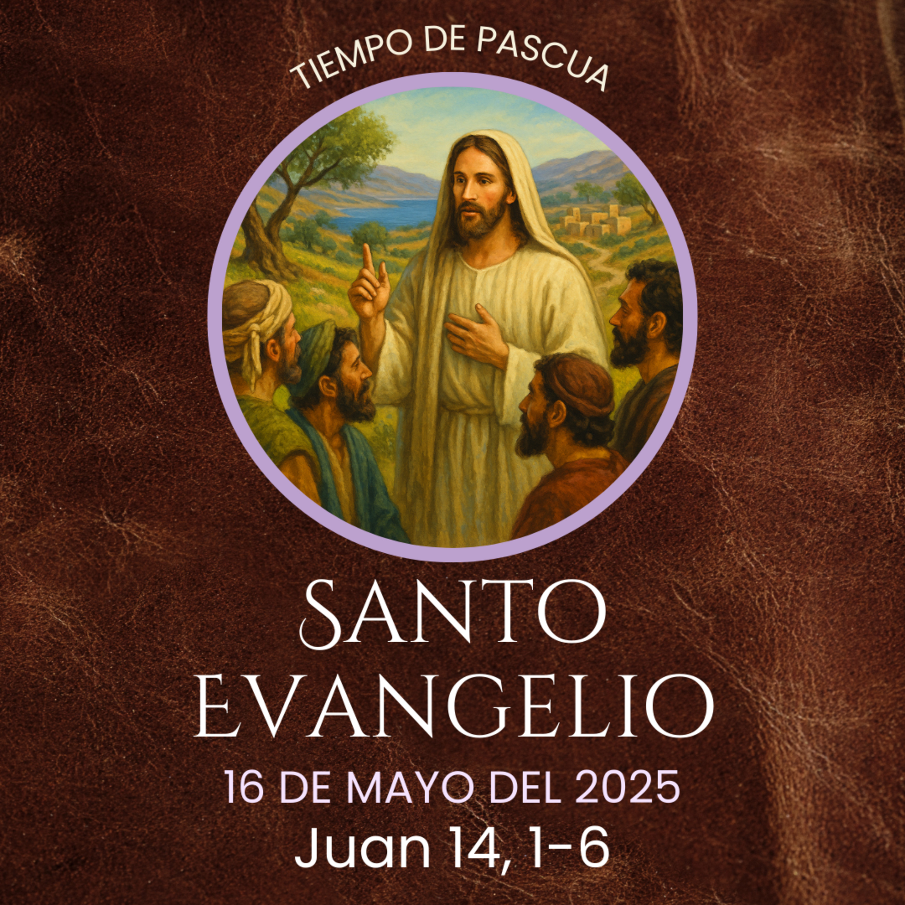 Evangelio del 16 de mayo del 2025 según san Juan 14, 1-6 episode artwork