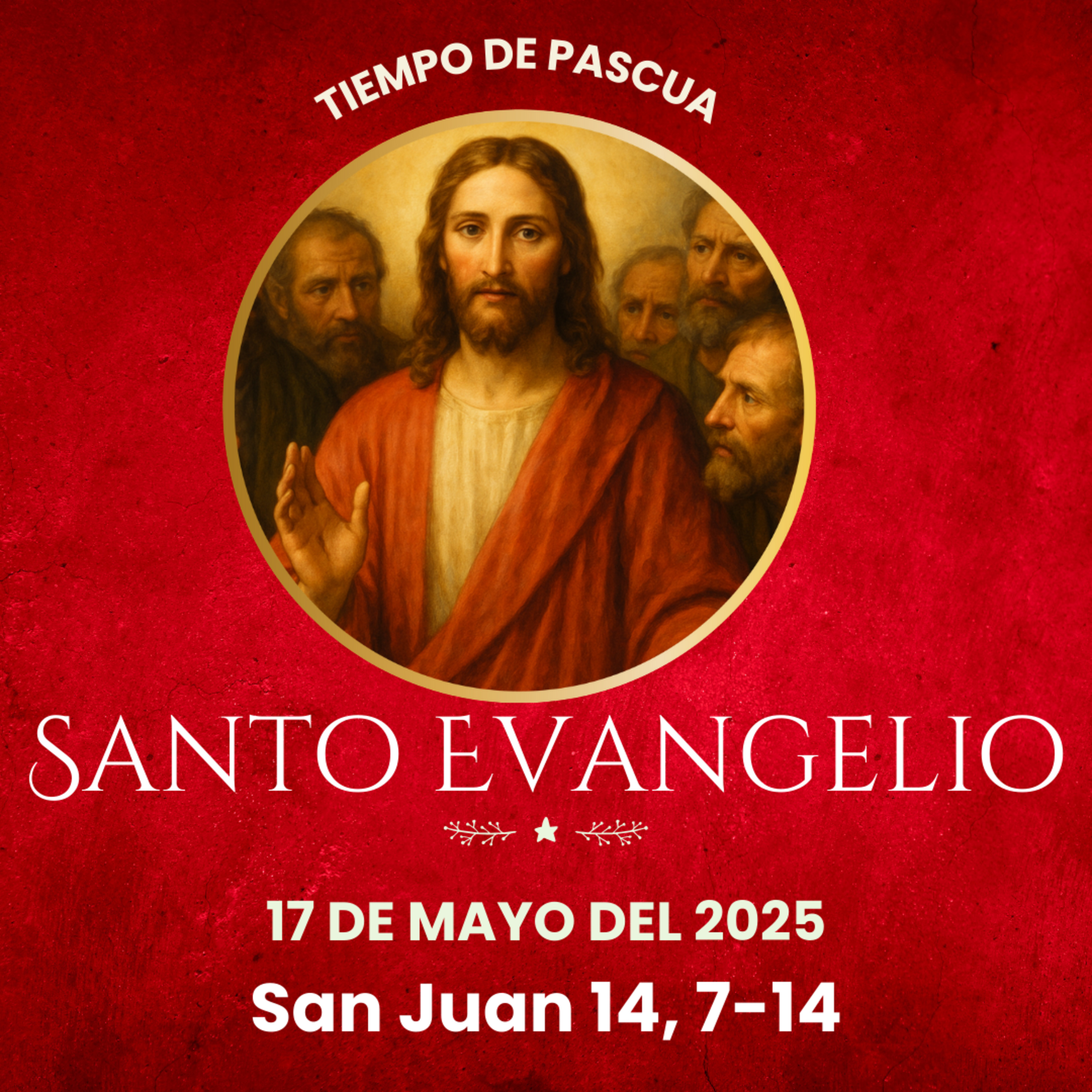 Evangelio y Reflexiones diarias