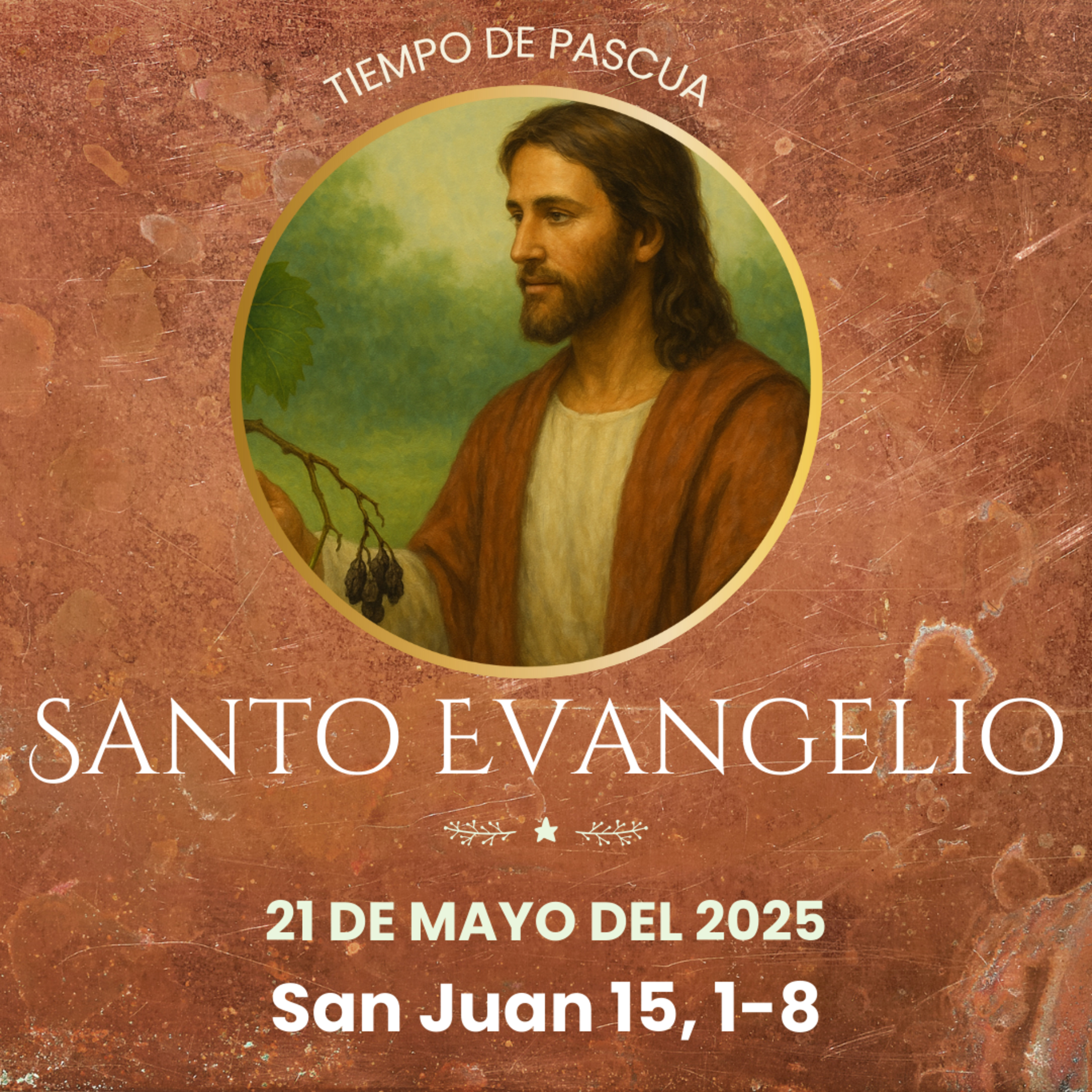 Evangelio del 21 de mayo del 2025 según san Juan 15, 1-8 episode artwork