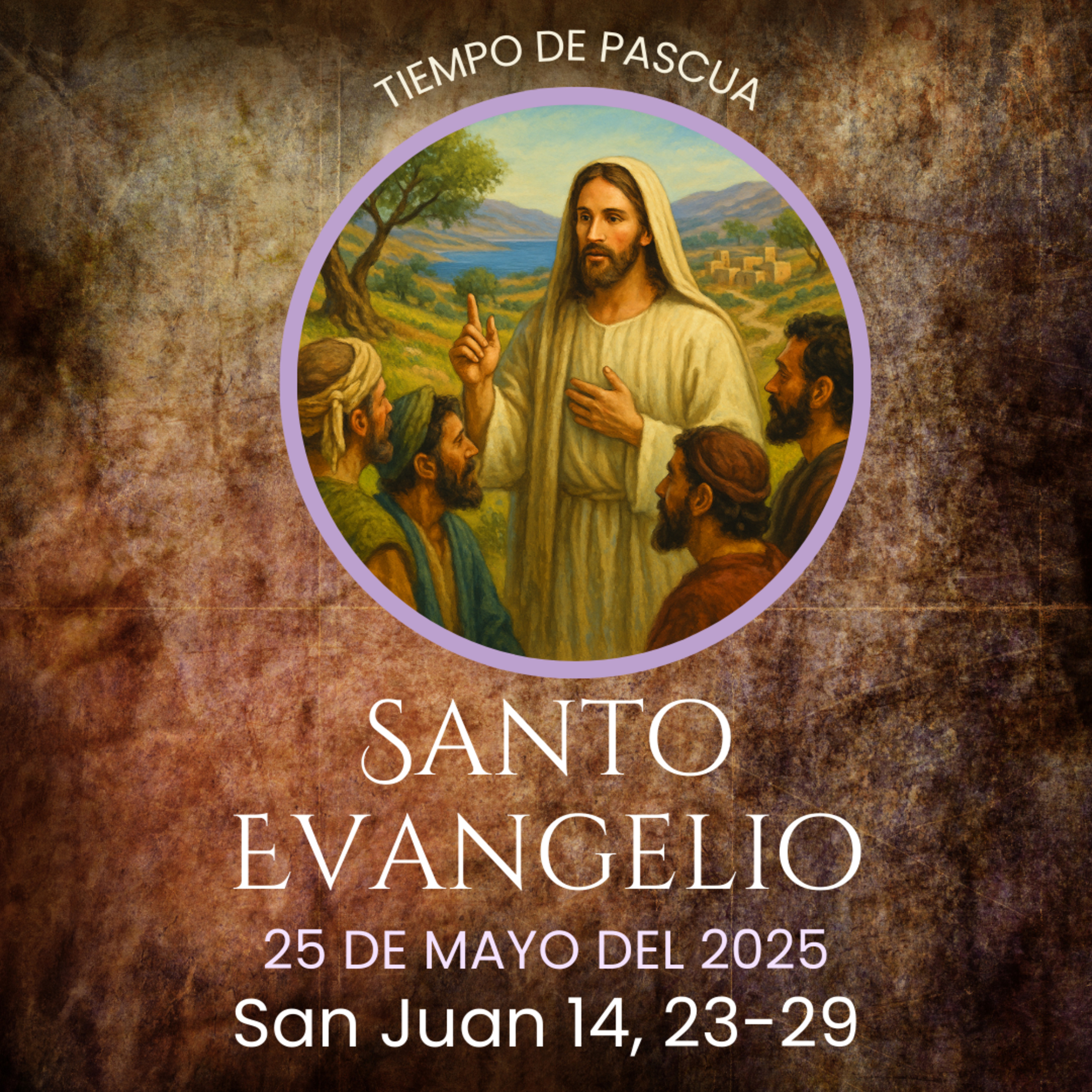 Evangelio del 25 de mayo del 2025 según san Juan 14, 23-29 episode artwork