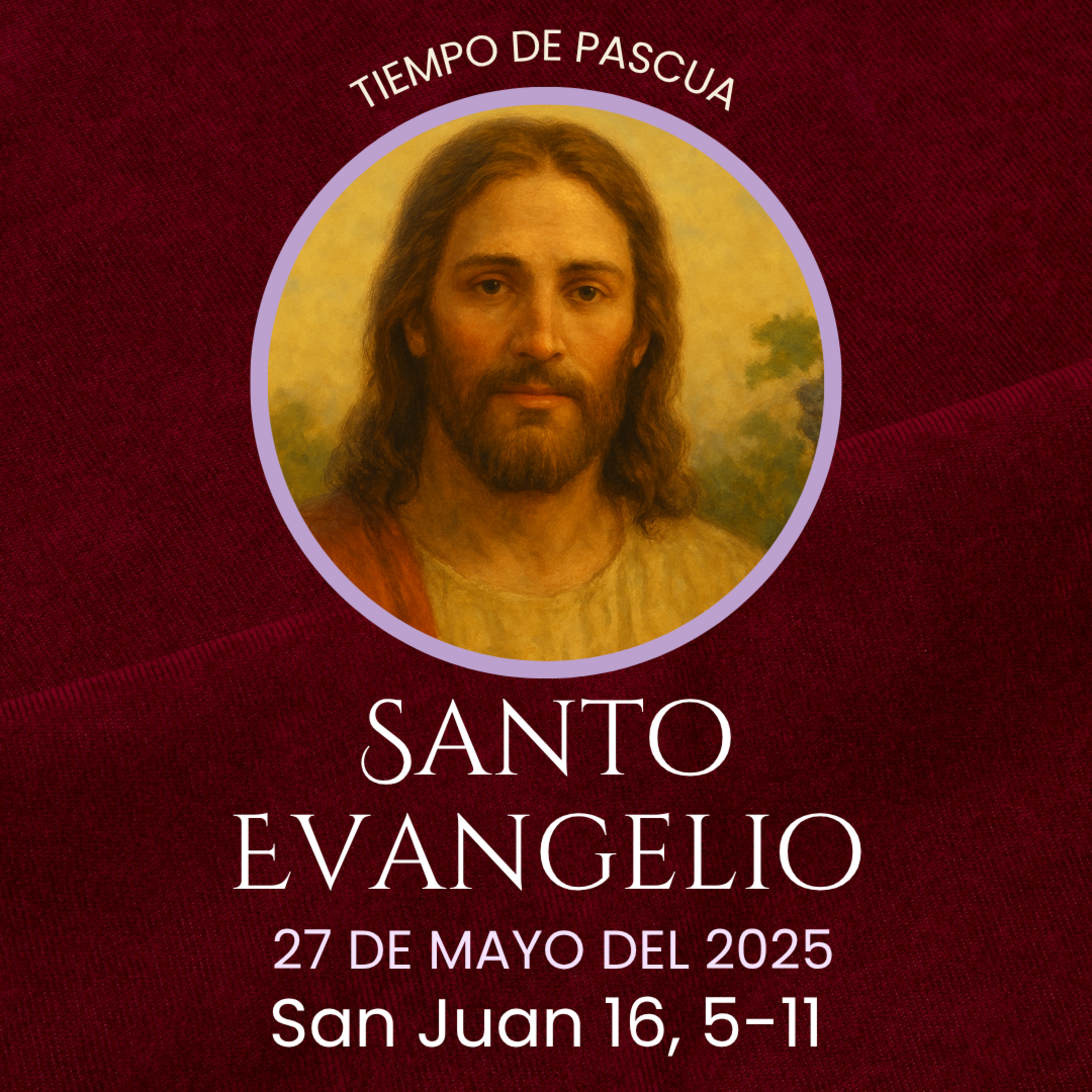 Evangelio del 27 de mayo del 2025 según san Juan 16, 5-11 episode artwork