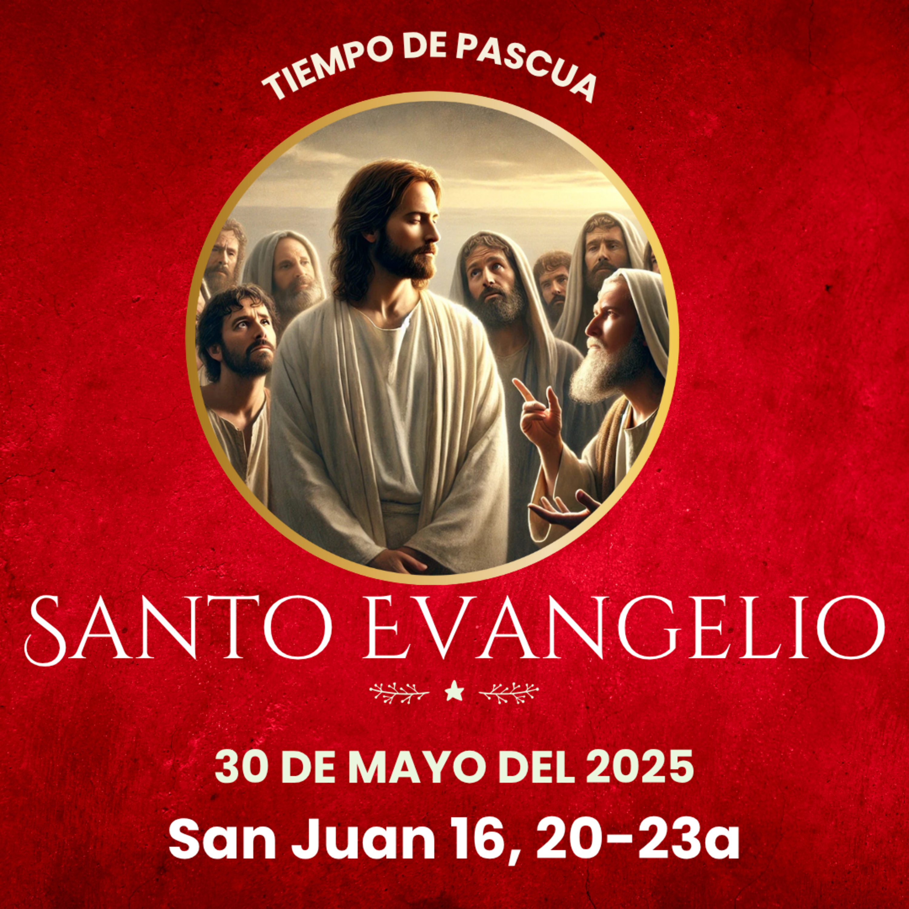 Evangelio del 30 de mayo del 2025 según san Juan 16, 20-23a episode artwork