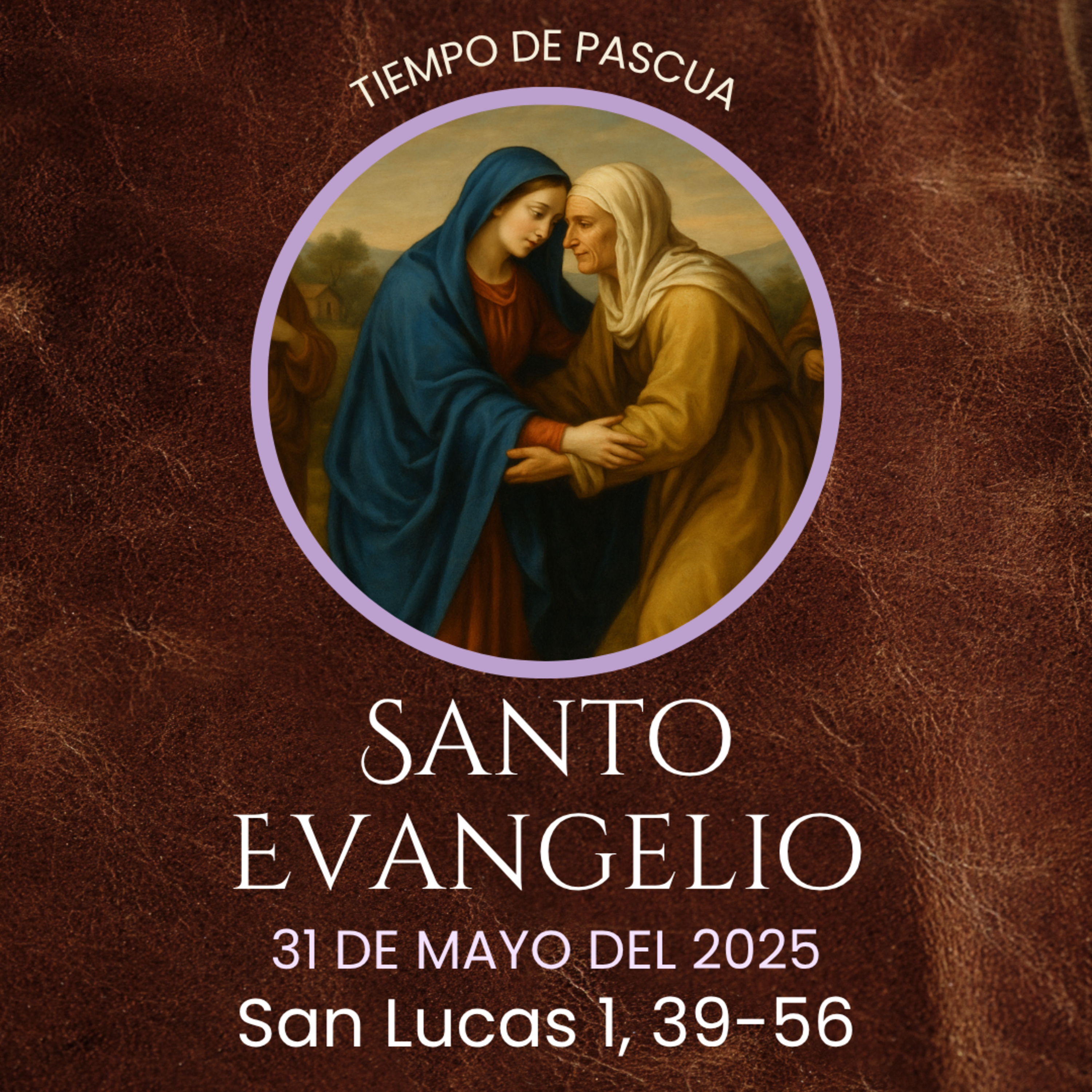 Evangelio del 31 de mayo del 2025 según san Lucas 1, 39-56 episode artwork