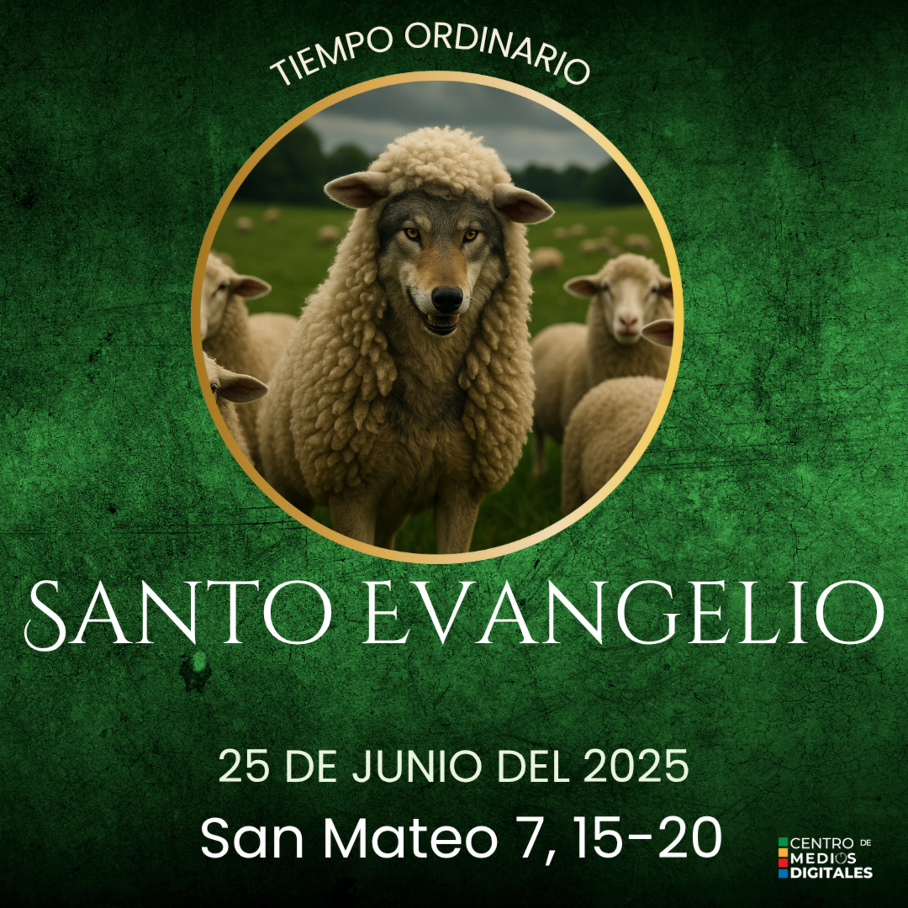 Evangelio del Miércoles 25 de junio de 2025 según Mateo 7, 15-20 episode artwork