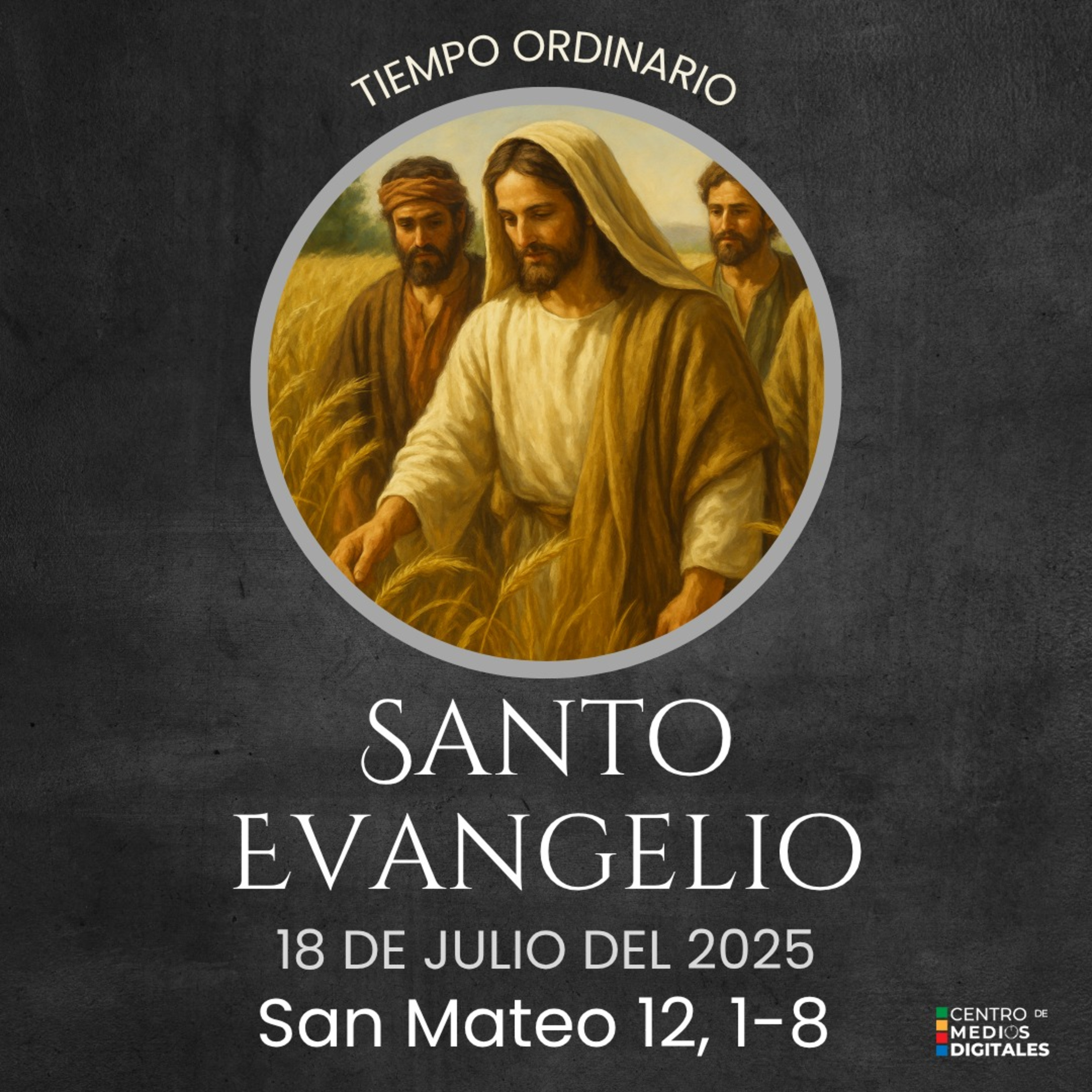 Evangelio del 18 de julio del 2025 según Mateo 12, 1-8 episode artwork