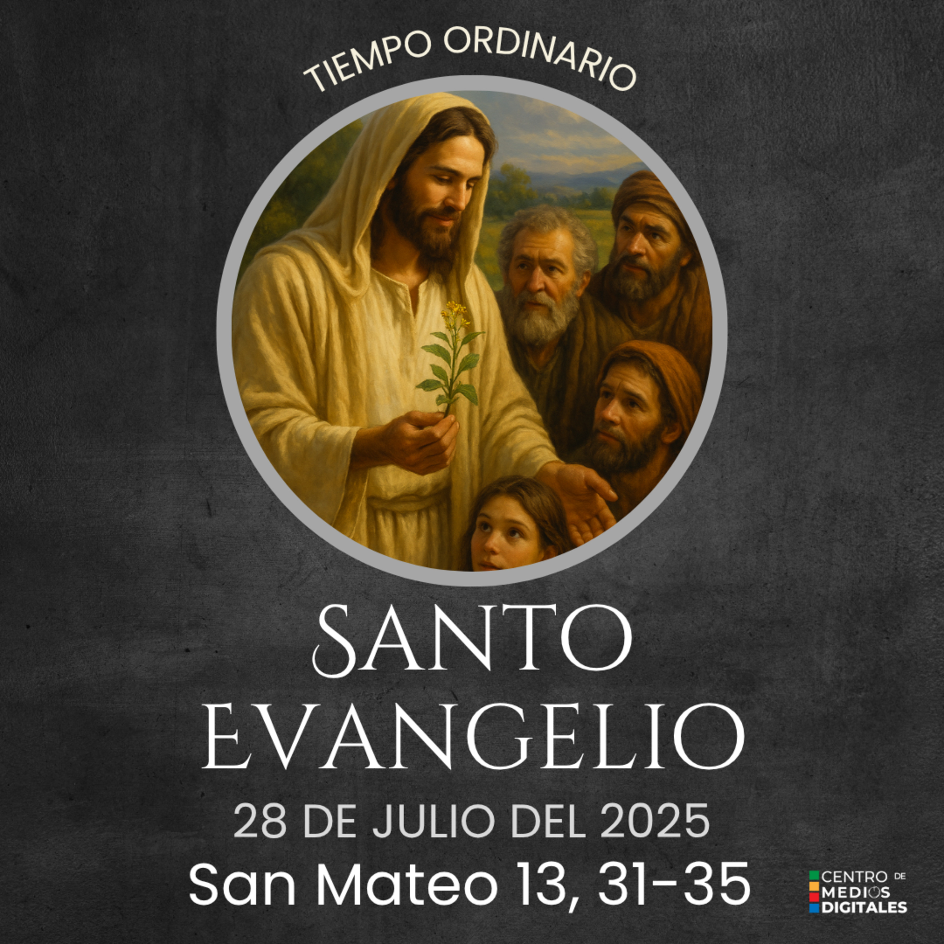 Evangelio del 28 de julio del 2025 según San Mateo 13, 31-35 episode artwork