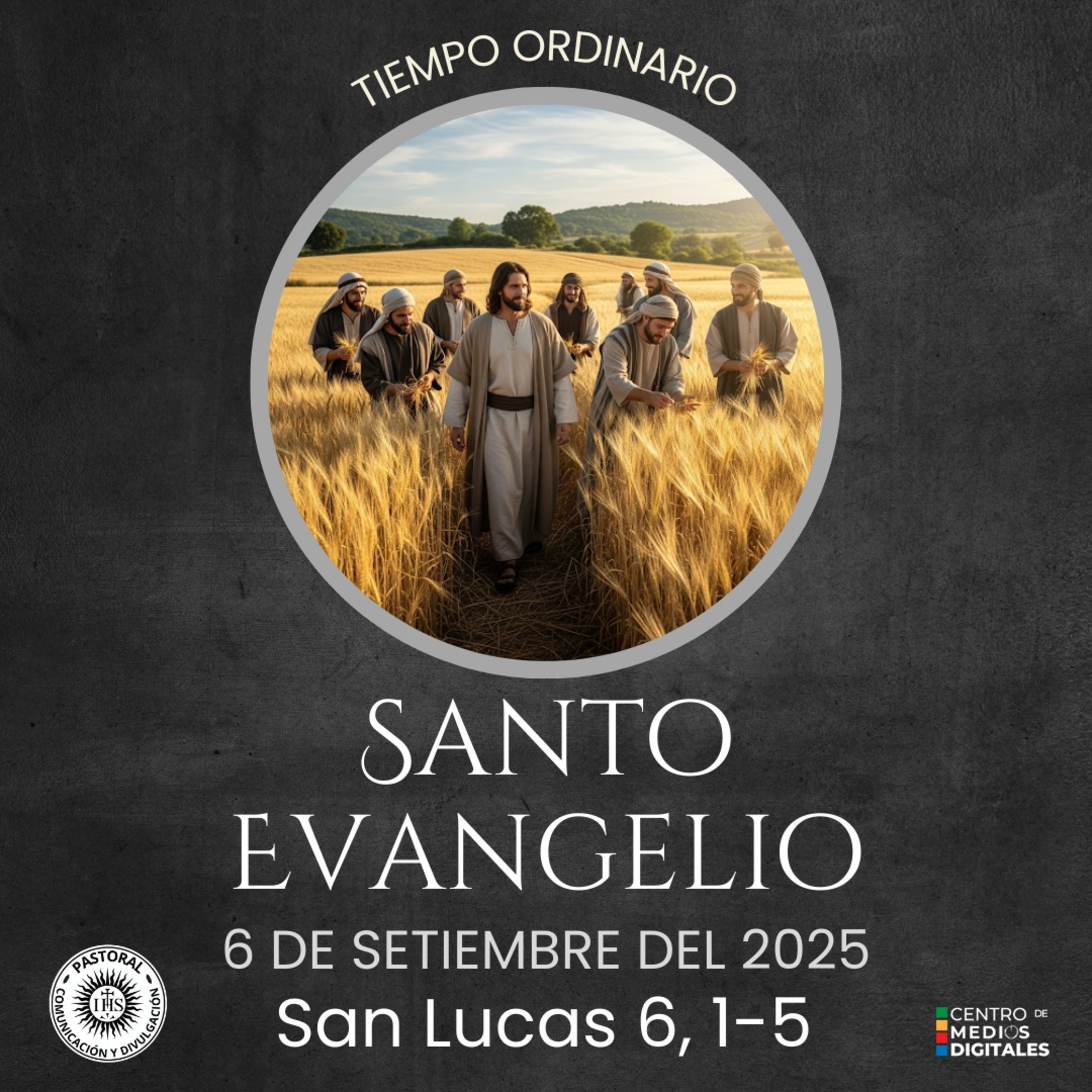 Evangelio del 6 de septiembre de 2025 según San Lucas 6, 1-5 episode artwork