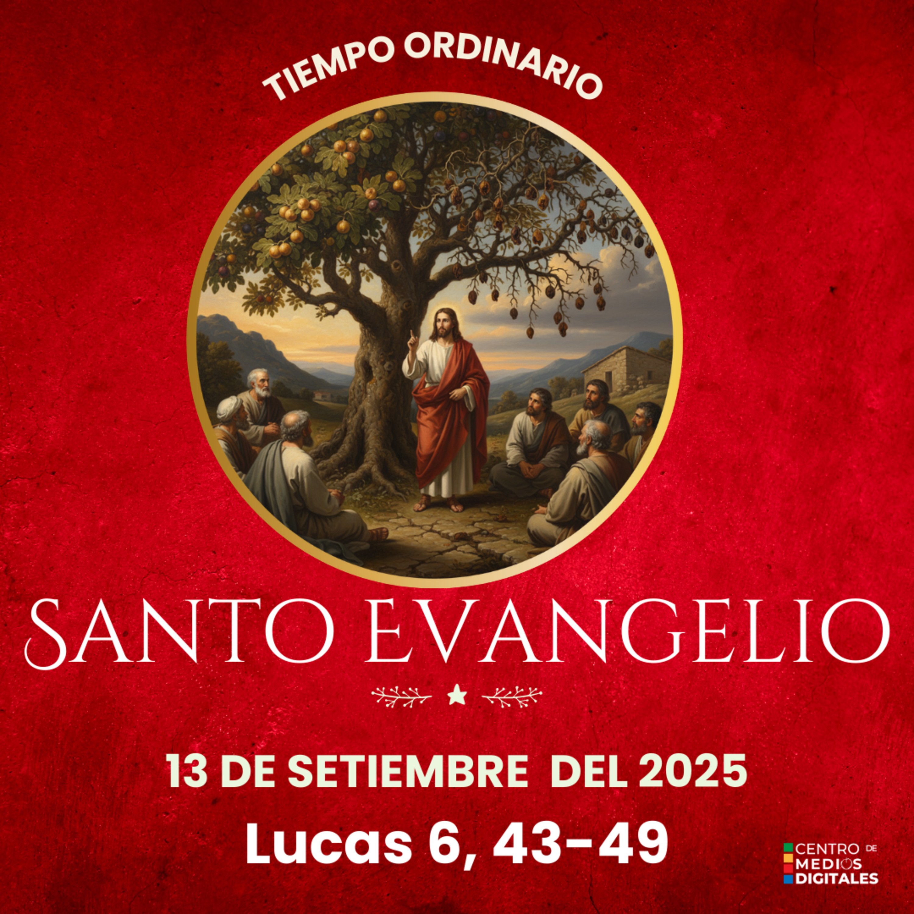 Evangelio del 13 de setiembre del 2025 según Lucas, capítulo 6, versículos del 43 al 49 episode artwork