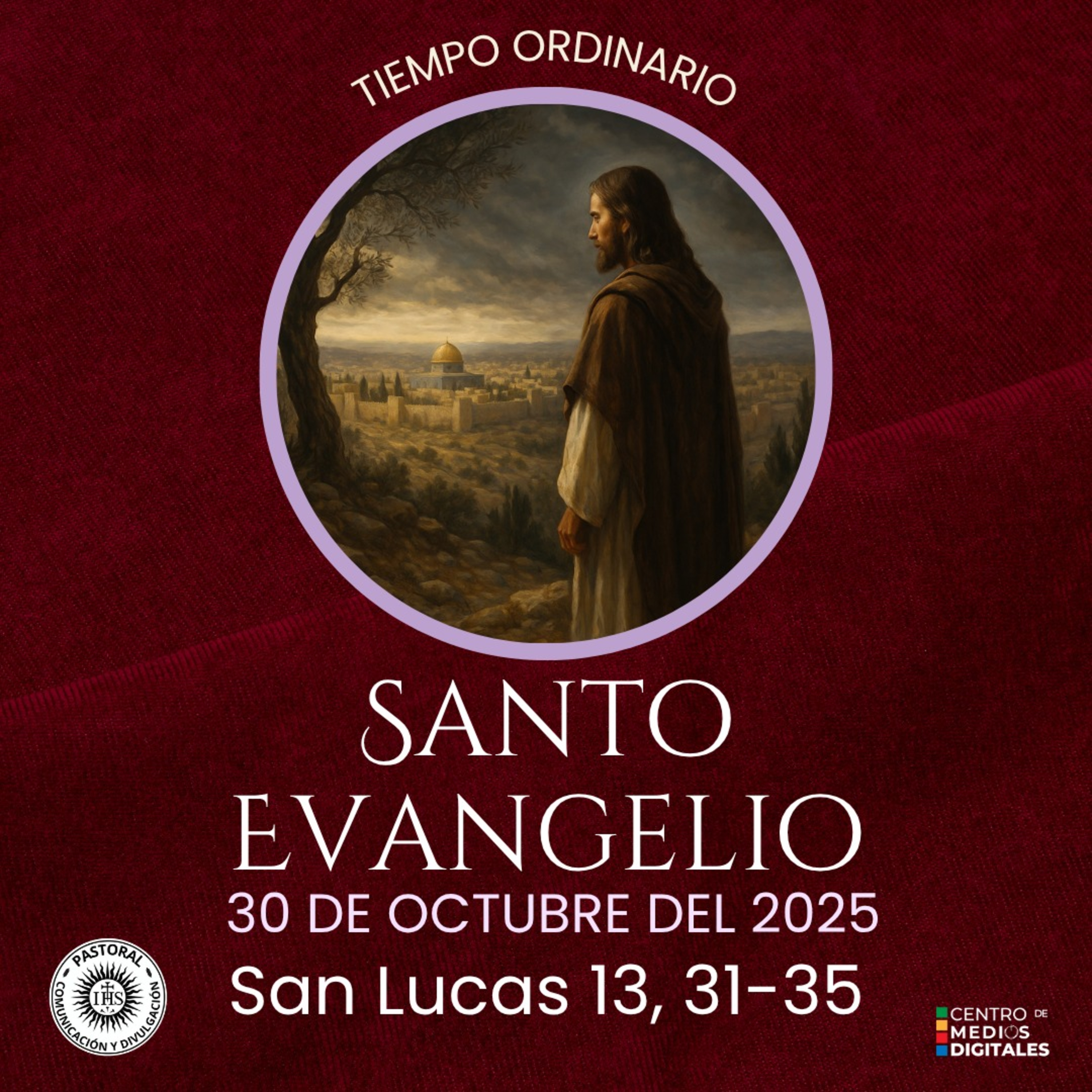 Evangelio según san Lucas capítulo 13, 31-35  episode artwork