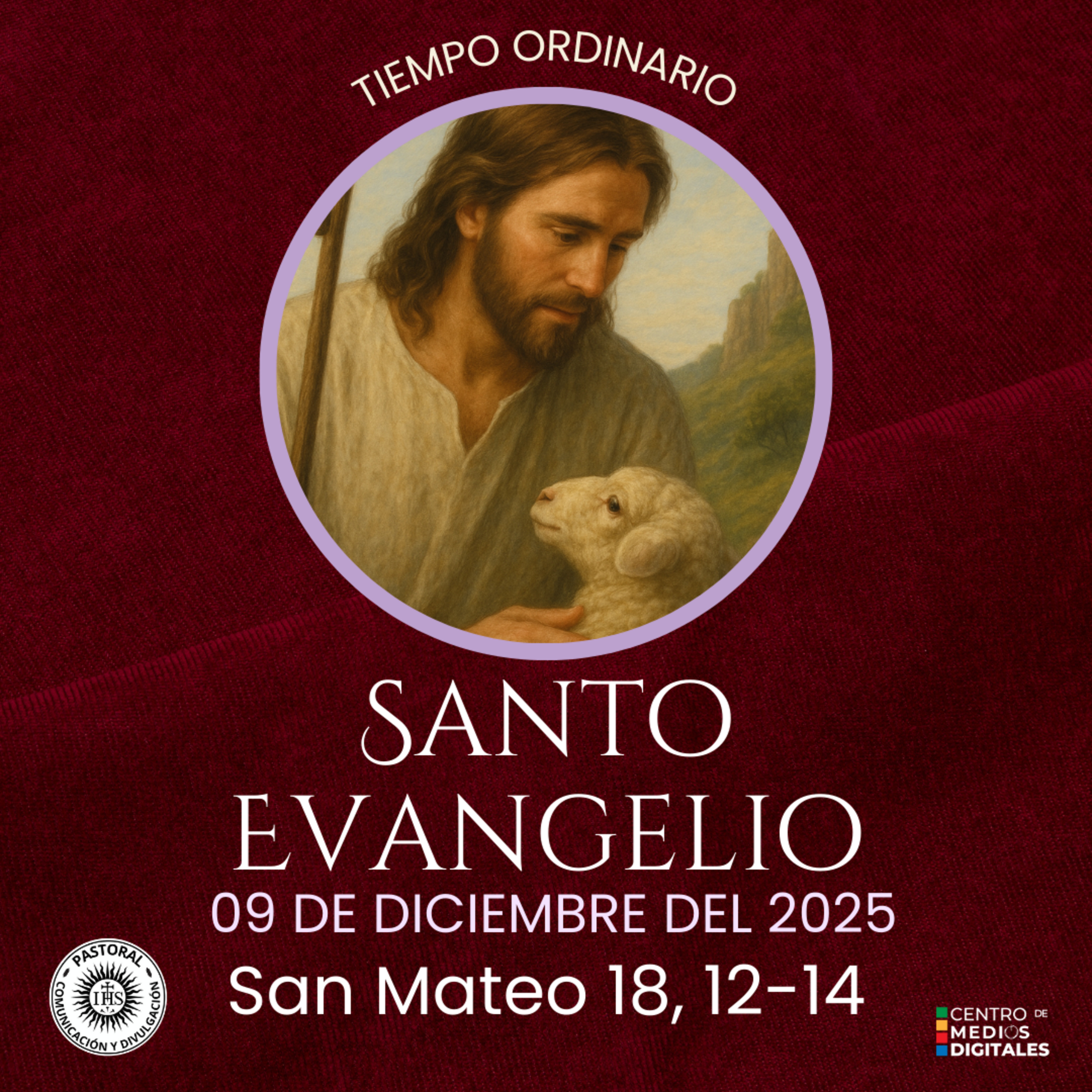 Evangelio del 9 de diciembre del 2025 según san Mateo 18, 12-14 episode artwork