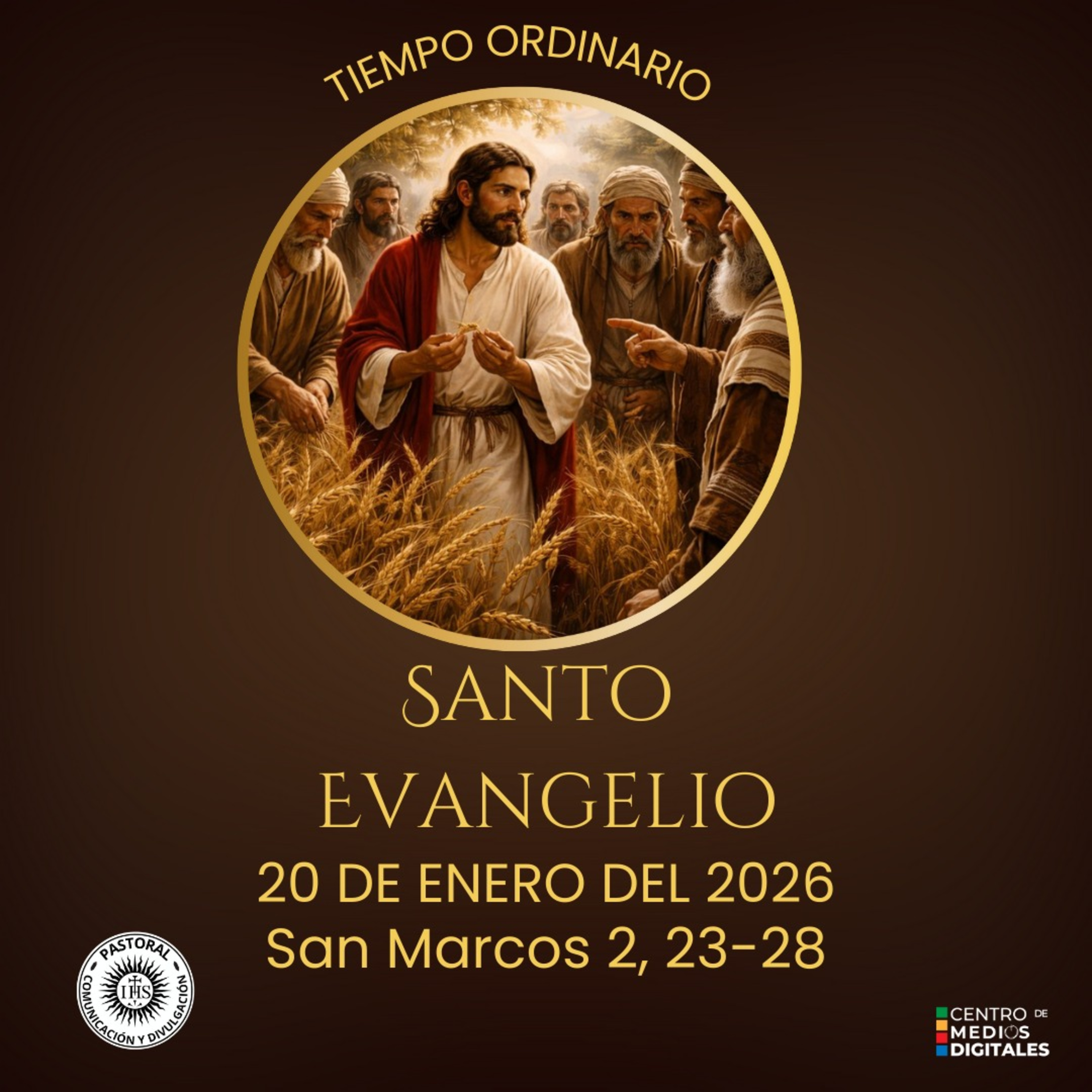 Evangelio del 20 de enero según san Marcos 2, 23-28 episode artwork