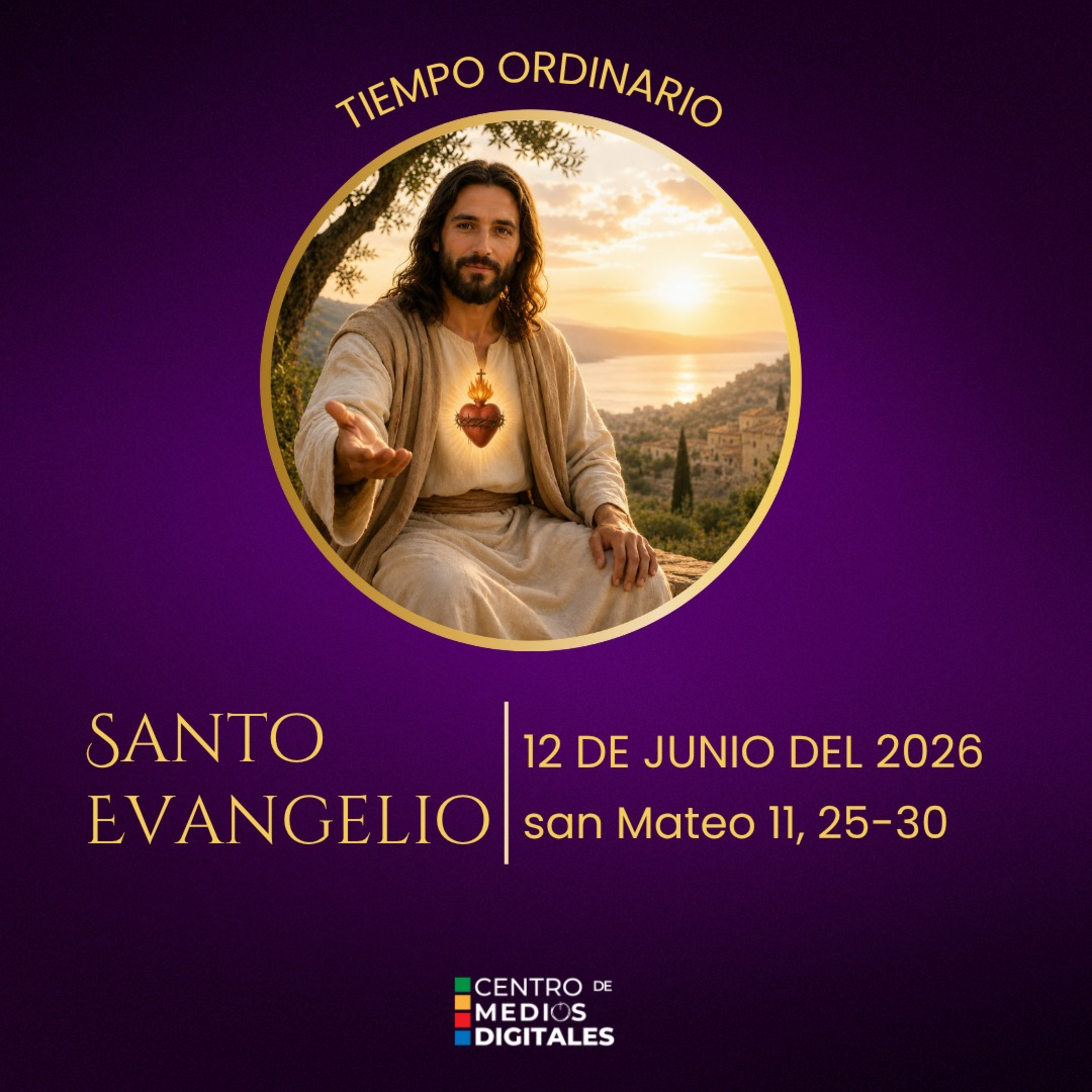 Evangelio del 12 de junio del 2026 según san Mateo, capítulo 11, versículos 25 al 30 episode artwork