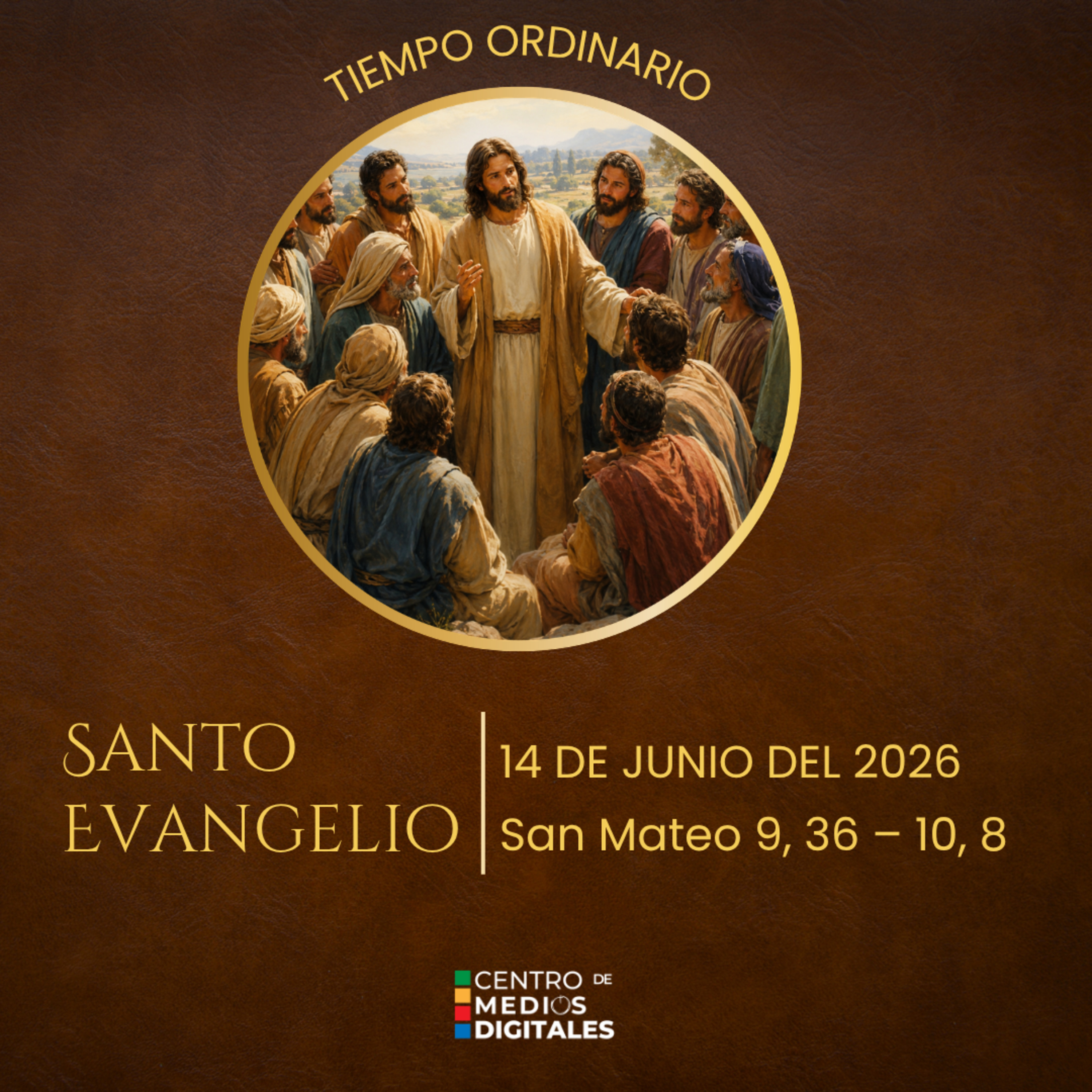  Evangelio del 14 de junio del 2026 según san Mateo, capítulo 9, versículo 36, al capítulo 10, versículo 8, episode artwork