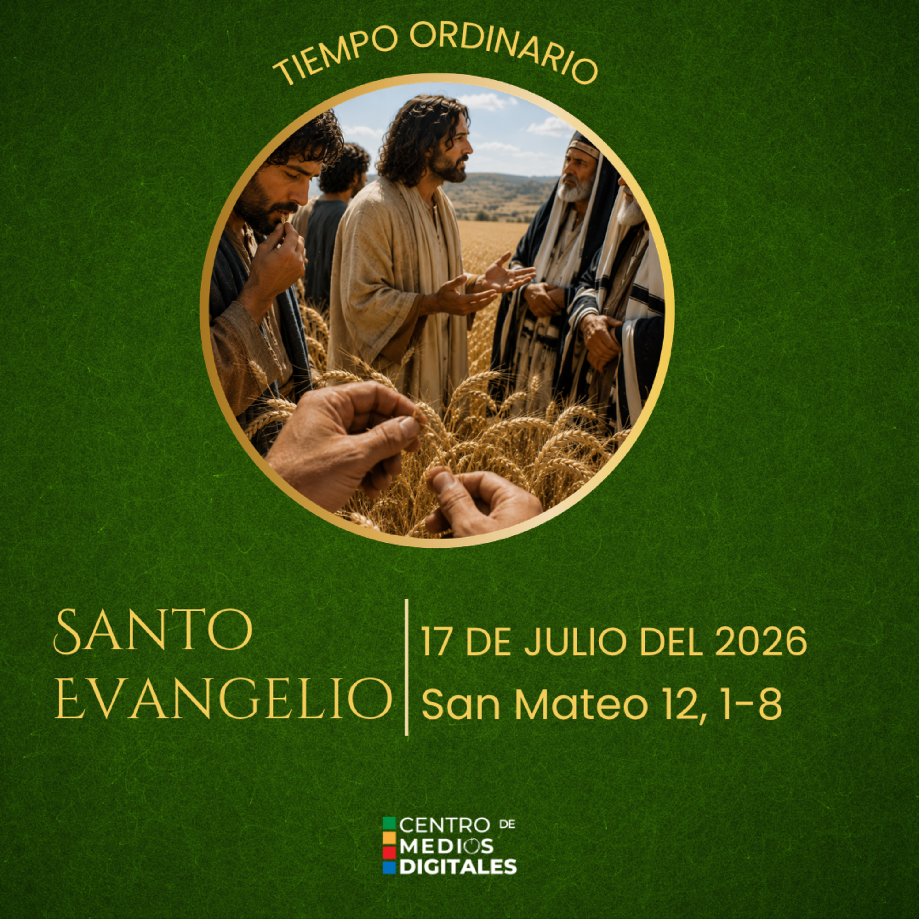 Evangelio del 17 de julio del 2026 según san Mateo, 12, 1 - 8 episode artwork