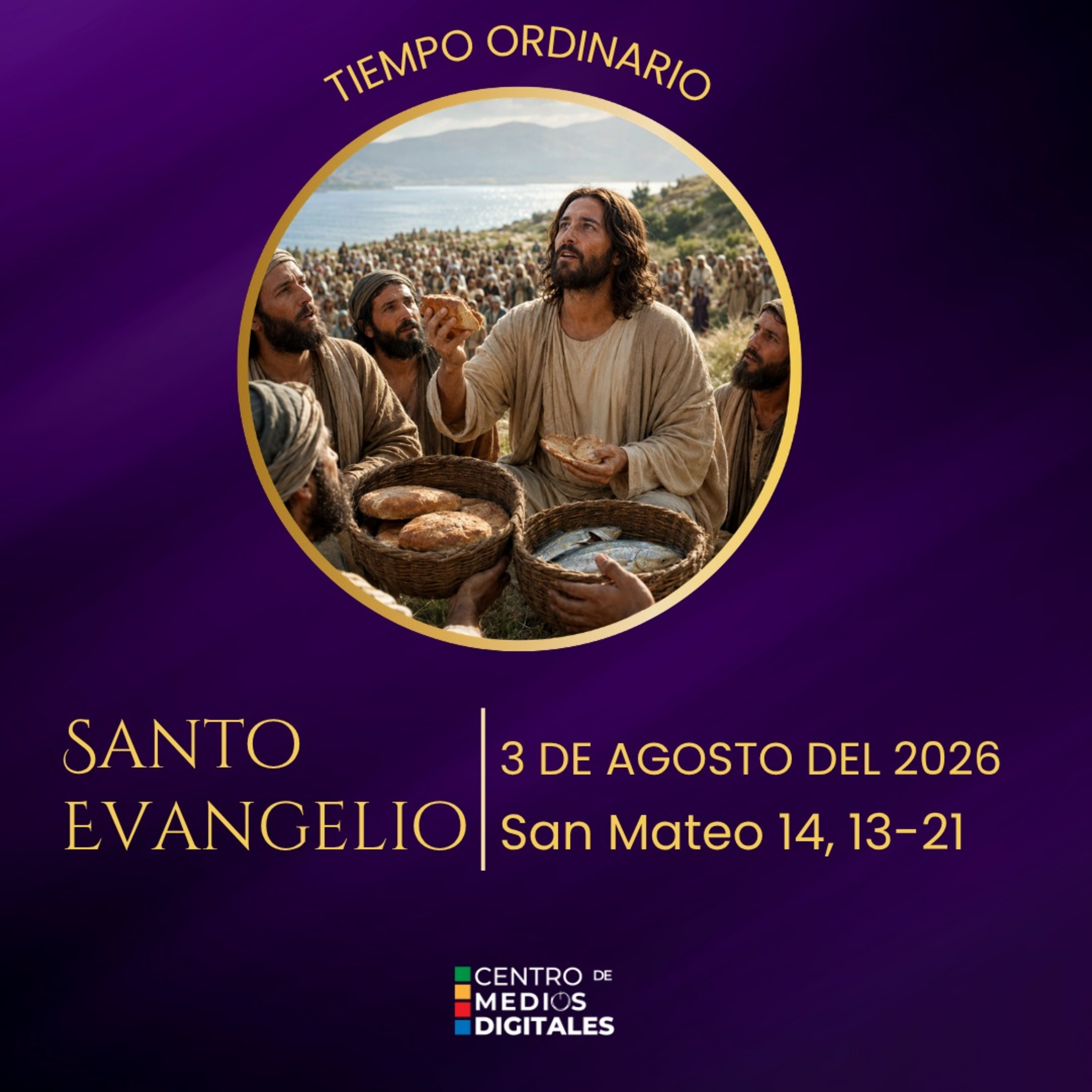 Evangelio del 3 de agosto del 2026 según San Mateo, 14, 13 al 21 episode artwork