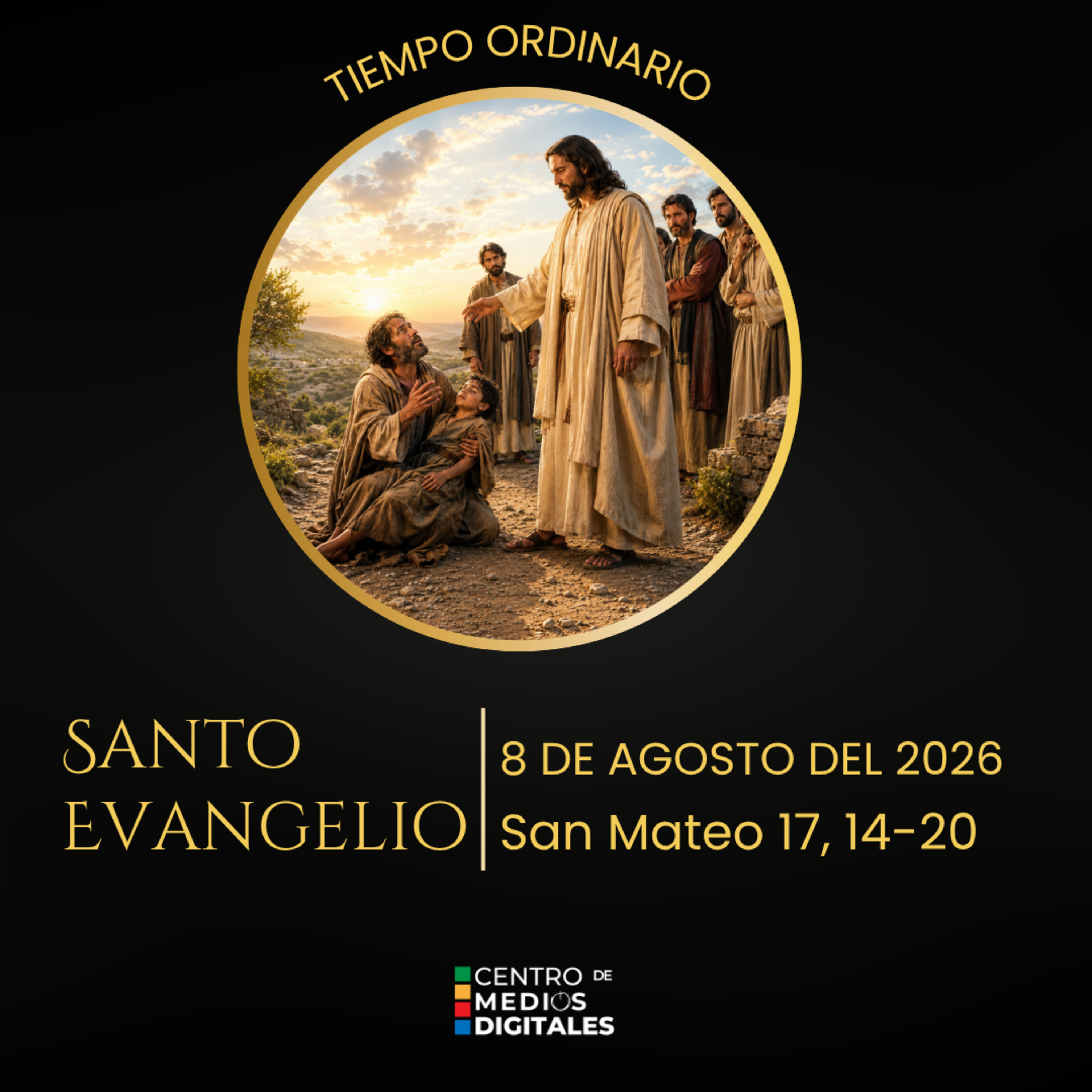 Evangelio del 8 de agosto del 2026 según san Mateo, 17,14 - 20 episode artwork