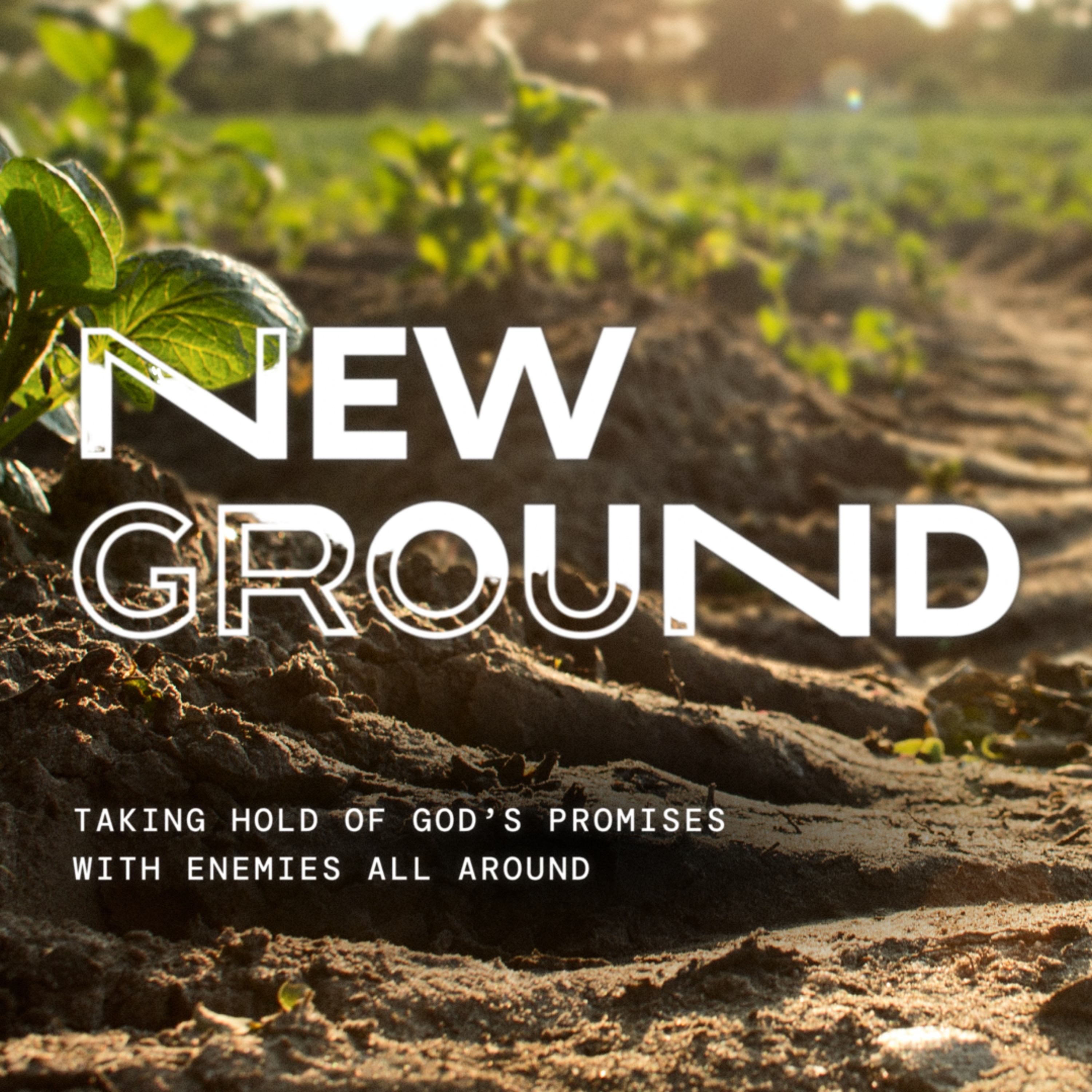 NEW GROUND episode artwork