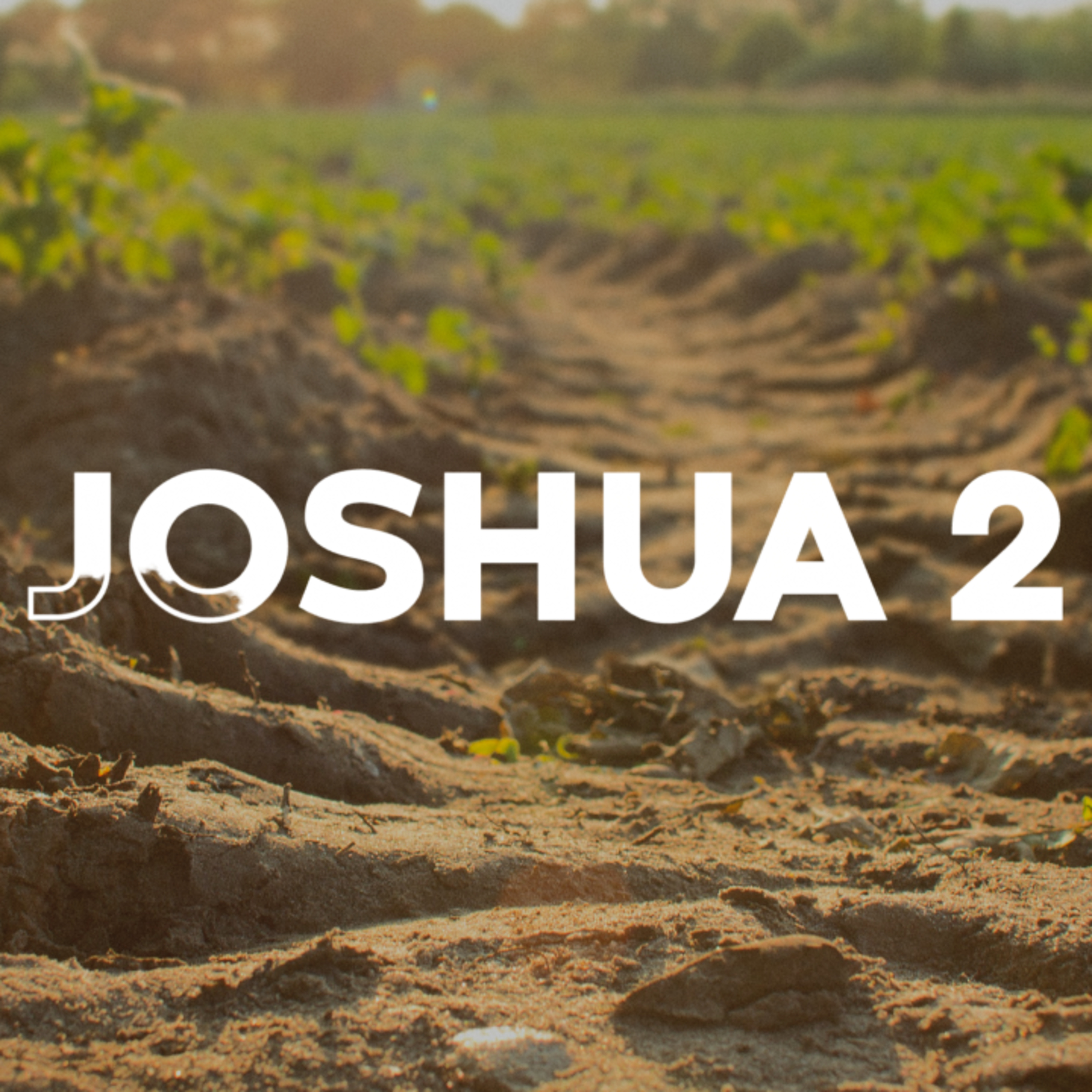 JOSHUA 2 | New Ground 2 episode artwork