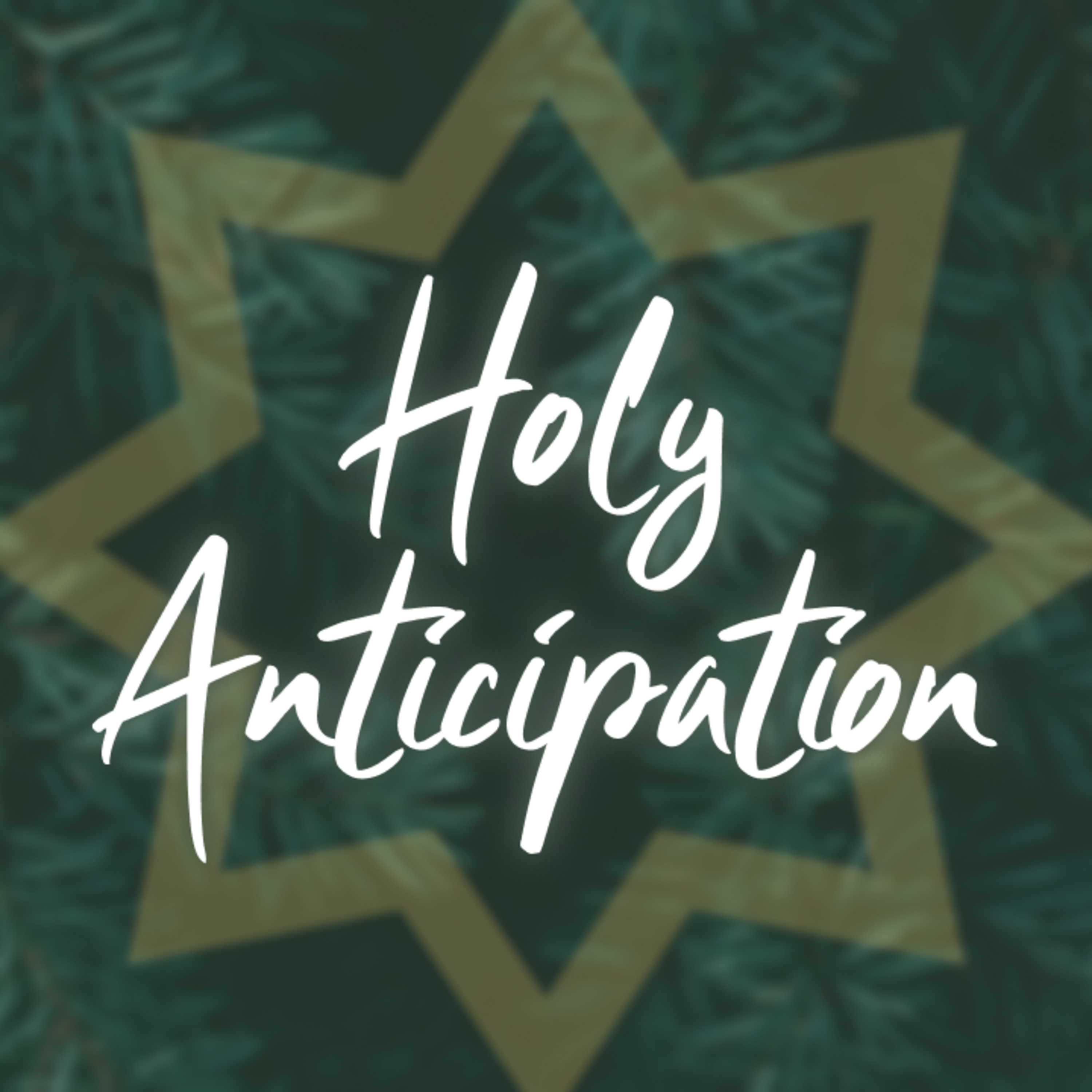 Holy Anticipation | Countdown to Christmas 1 episode artwork